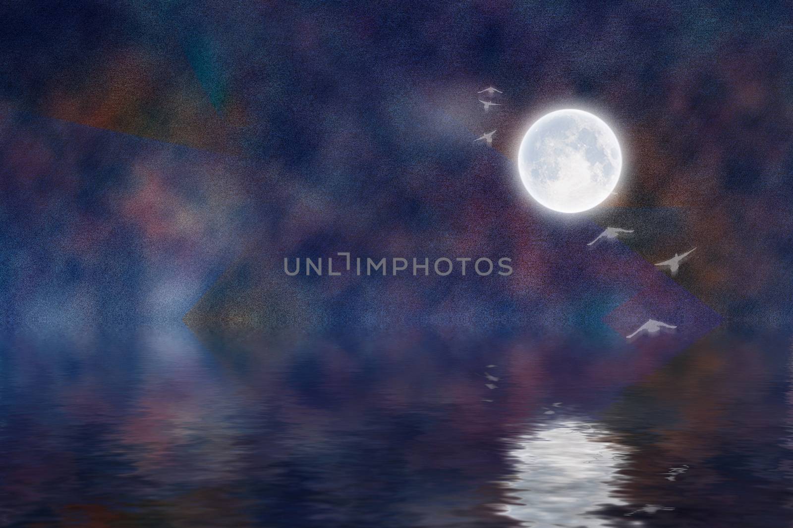 In the moonlight by applesstock