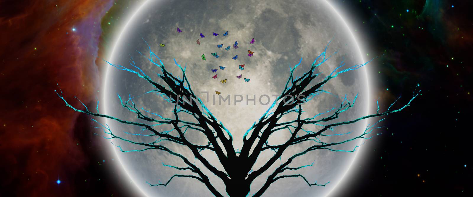 Mystic tree in moonlight. Butterflies symbolizes souls or hope