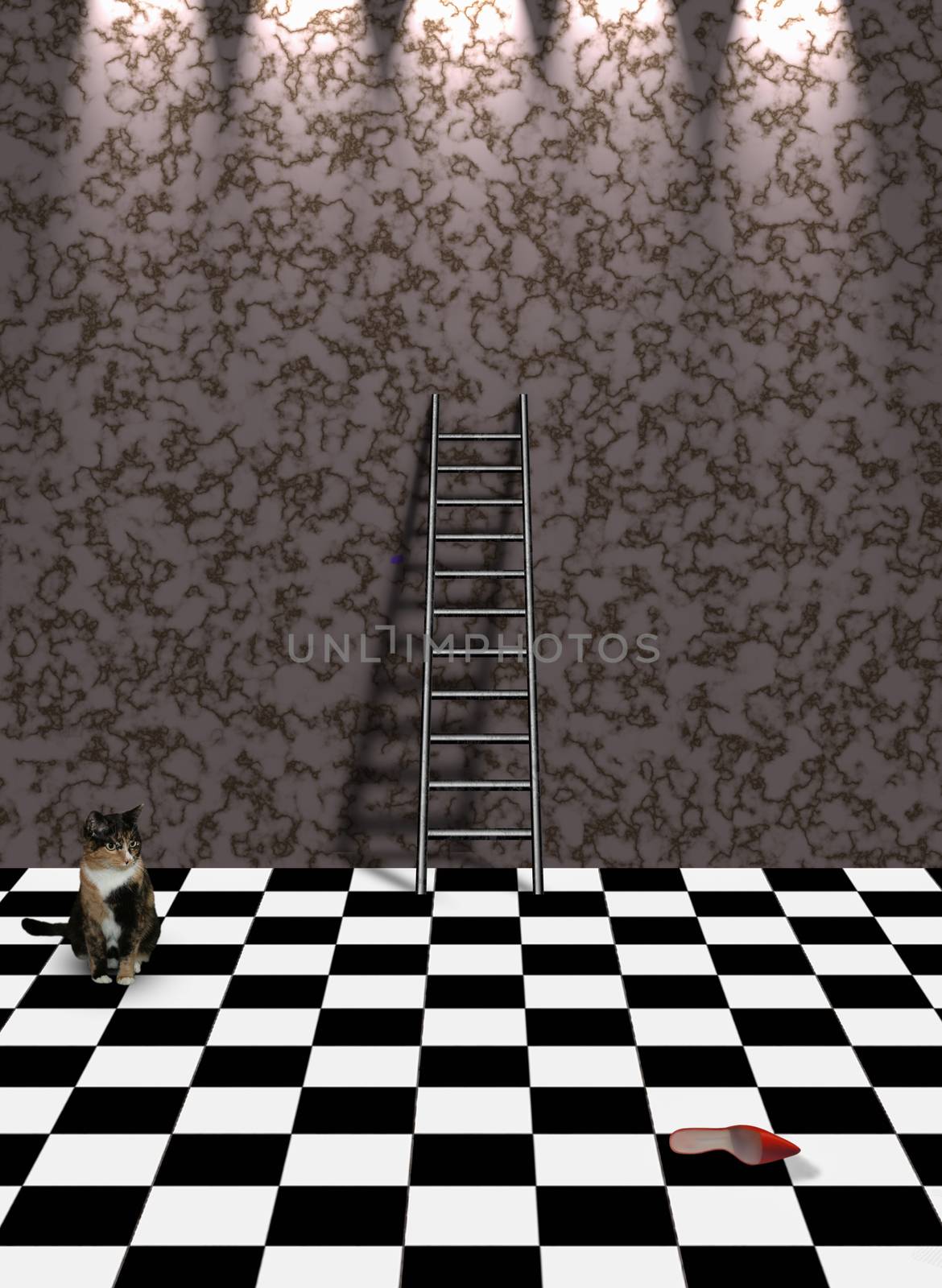 Cat in empty room. Red shoe and ladder