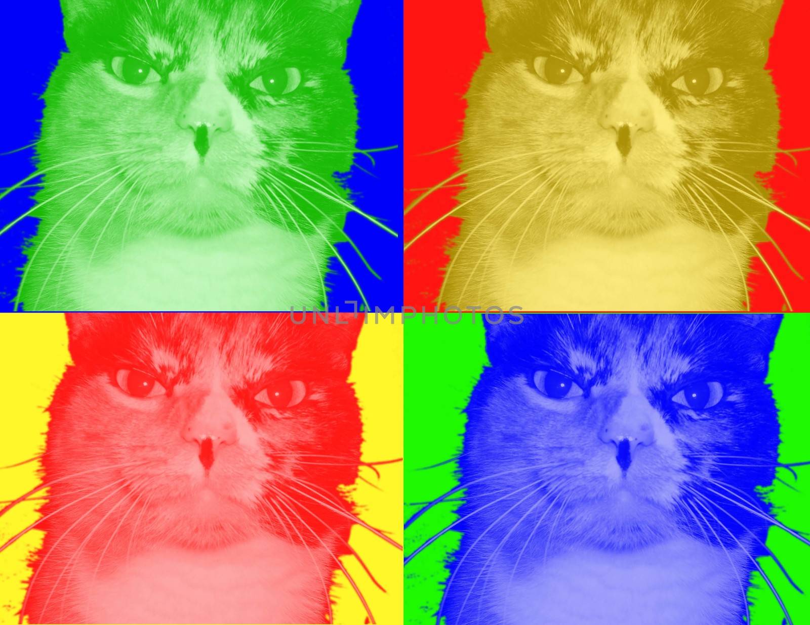 Modern digital art. Colorful cats