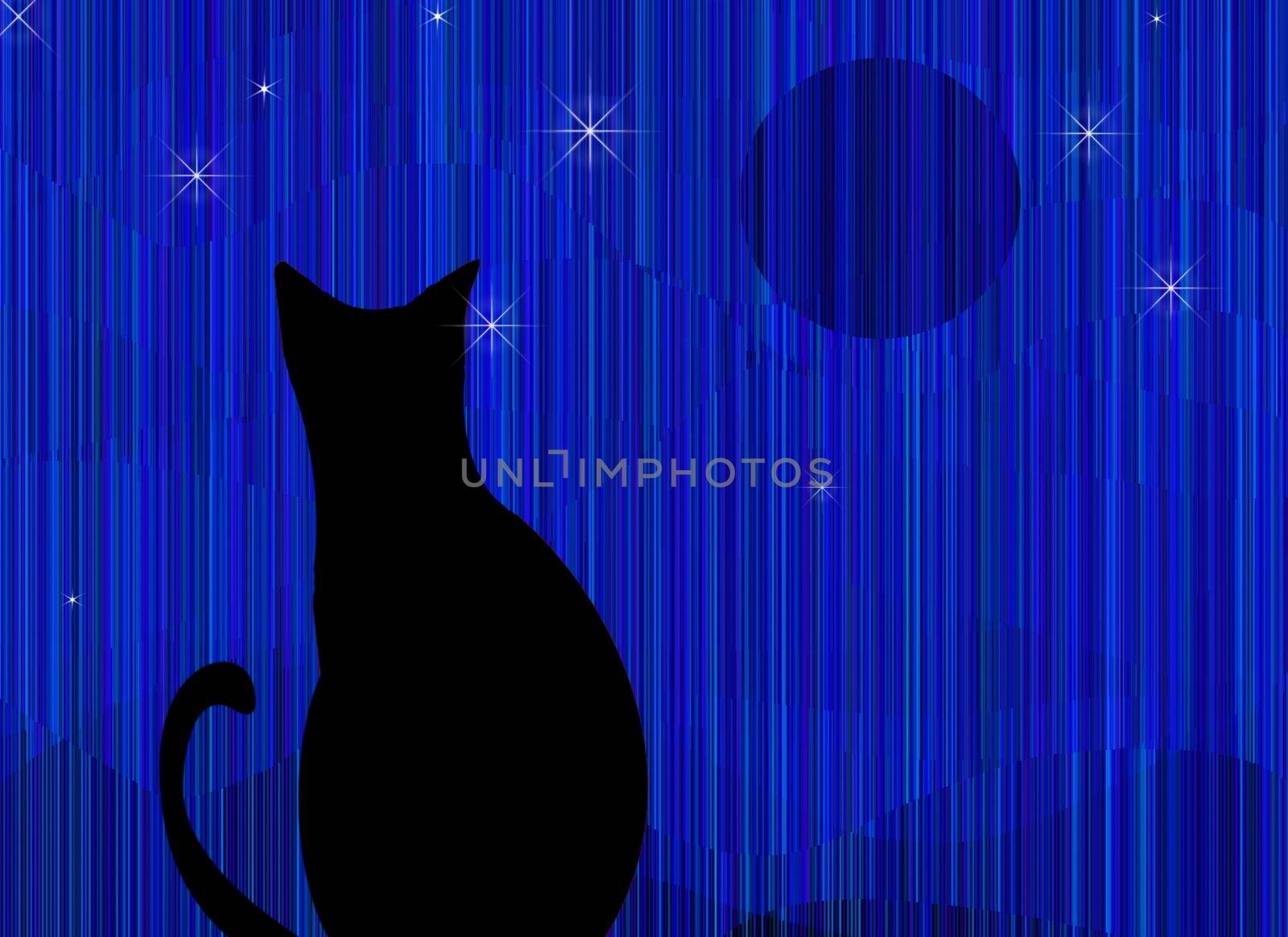 Black cat at night. Modern art
