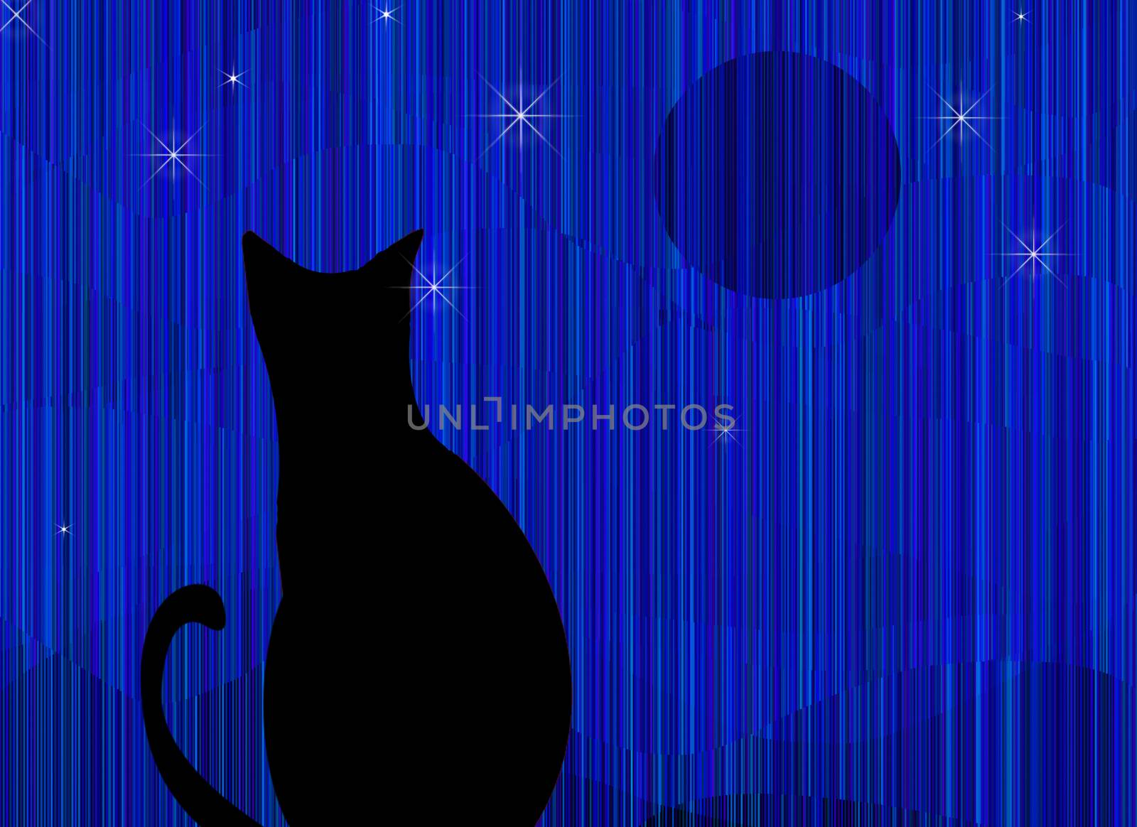 Black cat at night. Modern art
