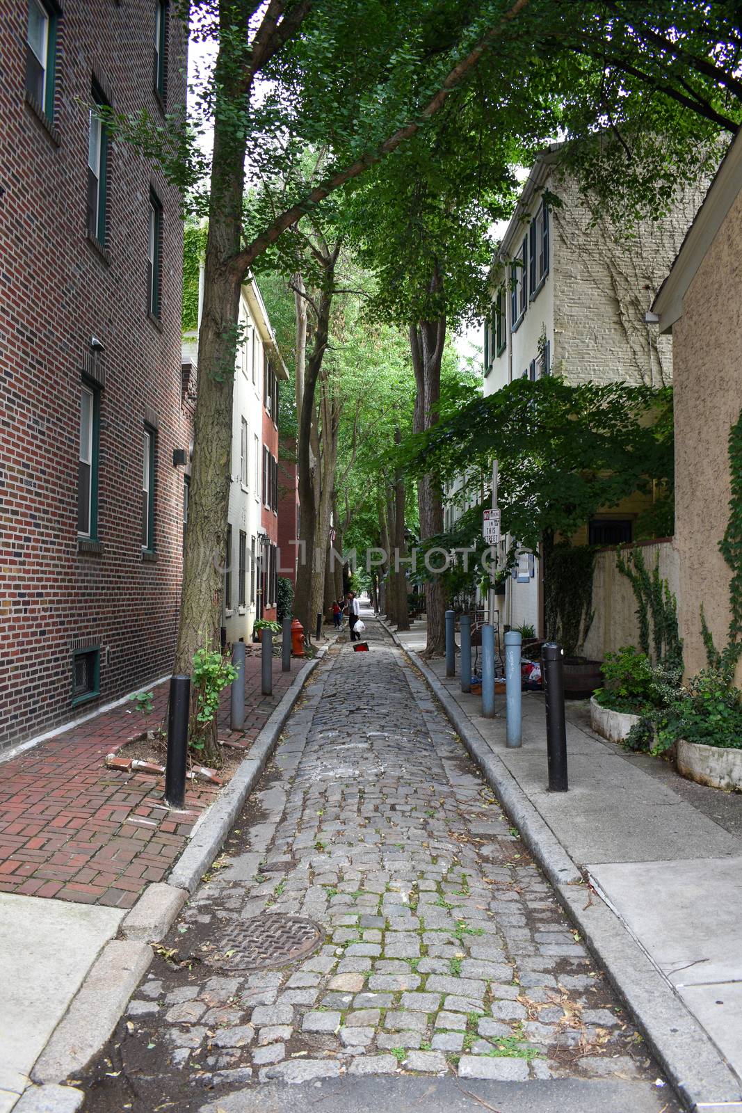 A Cobblestone Alleyway in the City of Philadelphia by bju12290