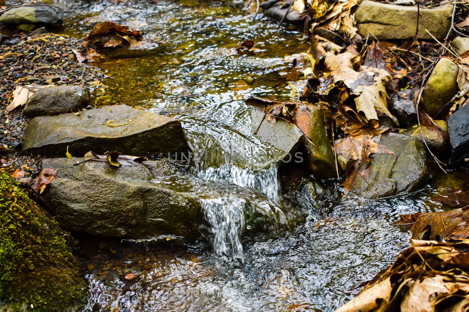 A Small Stream of Fast Flowing Water Surrounded by Autumn Foliage