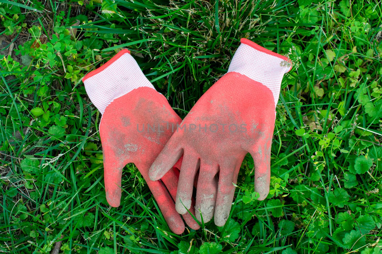 Gardening Gloves Laying in a Patch of Grass by bju12290
