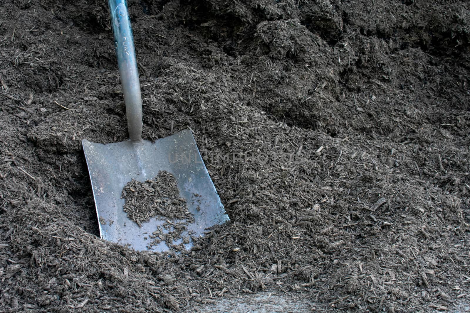 A Large Square Shovel Resting on a Pile of Mulch by bju12290