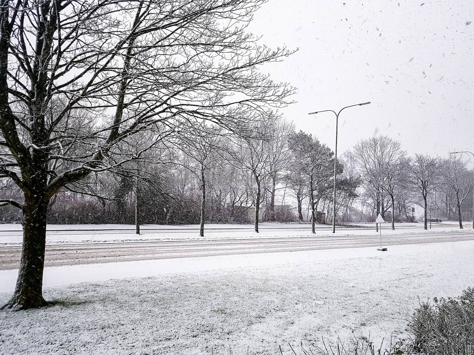 Winter Wonderland in Leherheide, snow in Bremerhaven, Germany. by Arkadij