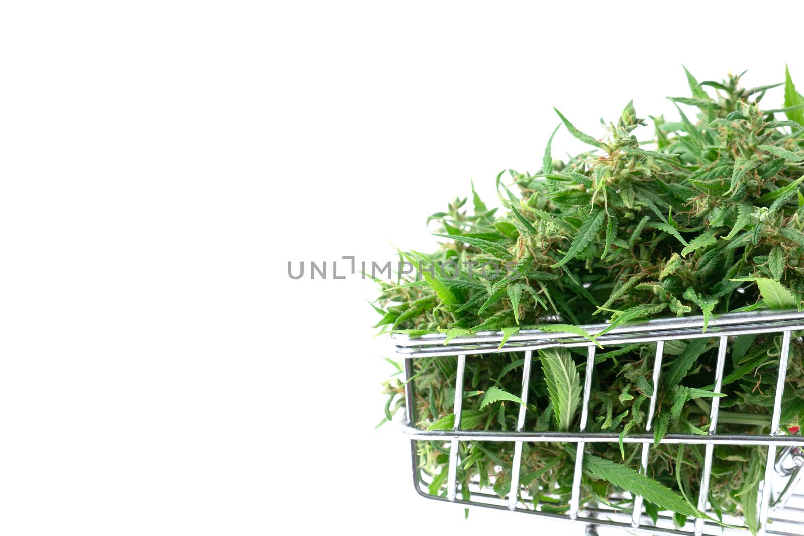 marijuana flower in shopping cart isolated on white background by anankkml