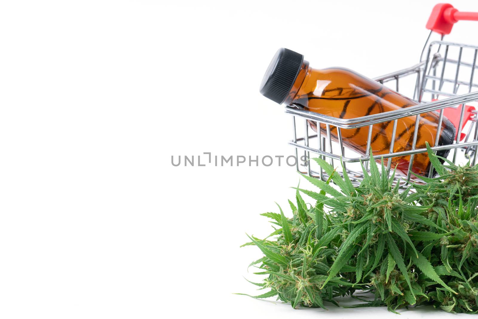 cannabis with cannabidiol (cbd) extract isolated on white background