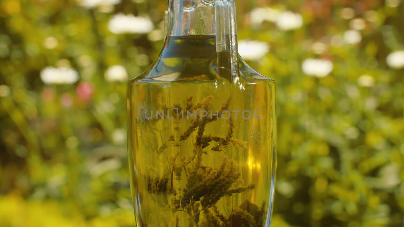 Close up olive oil with aromatic herbs in a glass jug. Bottle on blurry natural background in the garden at summer day. Healthy lifestyle concept