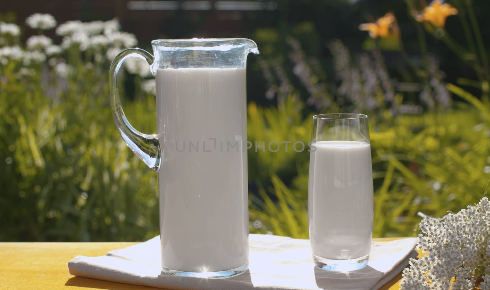 Close up shot of a jug and a glass of milk on a wooden table in the garden of a country house, on a background of flowers