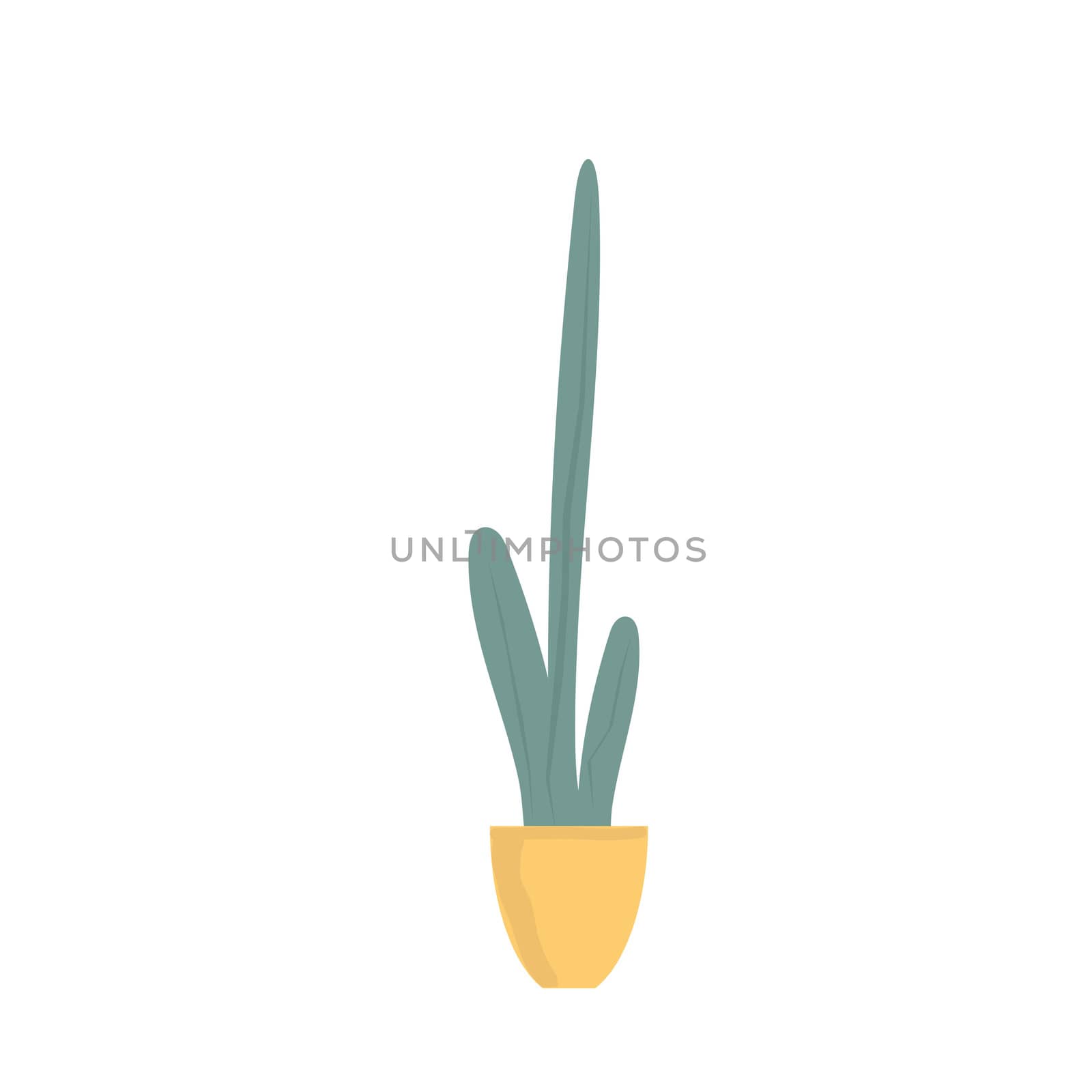 Houseplant in ceramic pot flat illustration. Evergreen plant isolated on white background by zaryov
