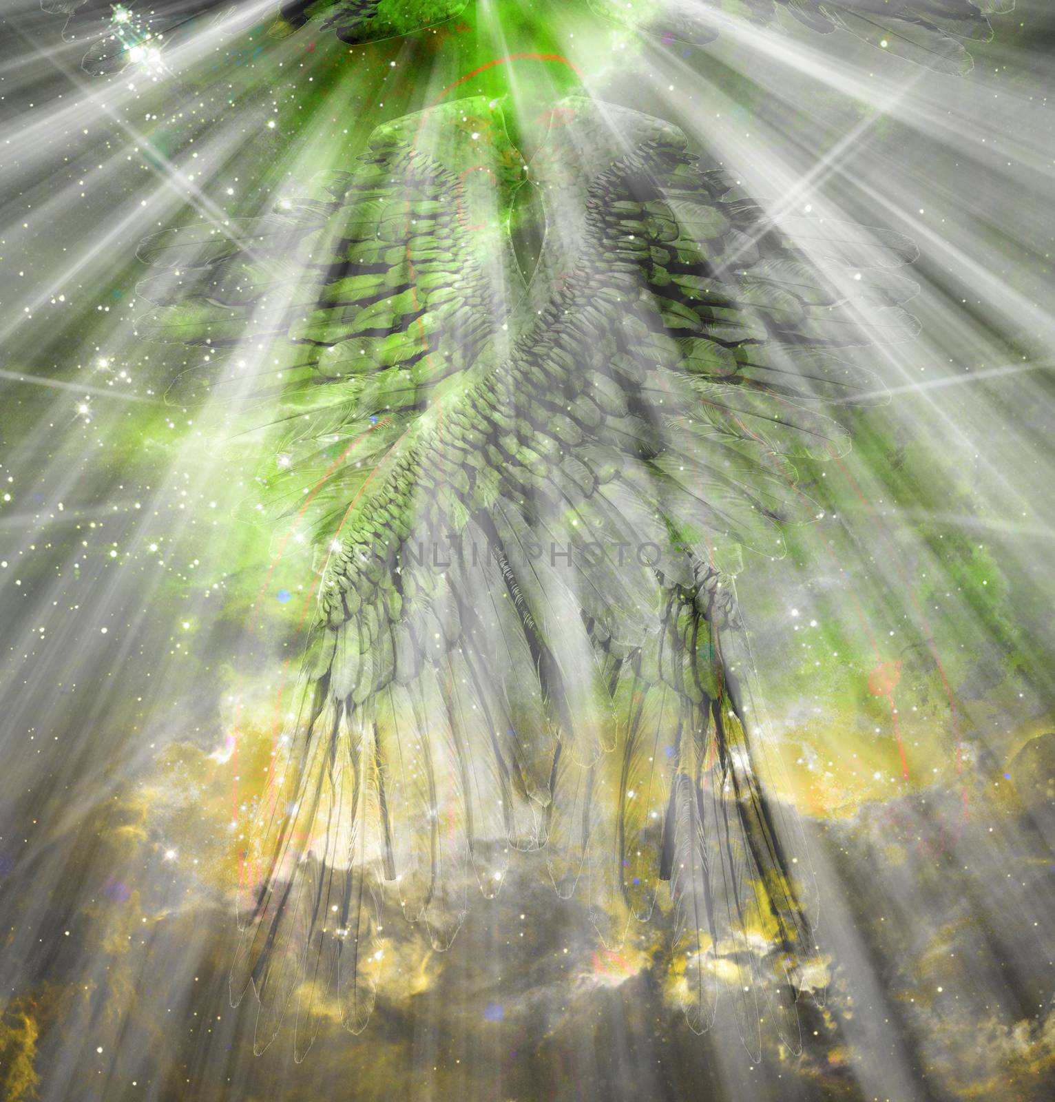 Angel wings and shining light