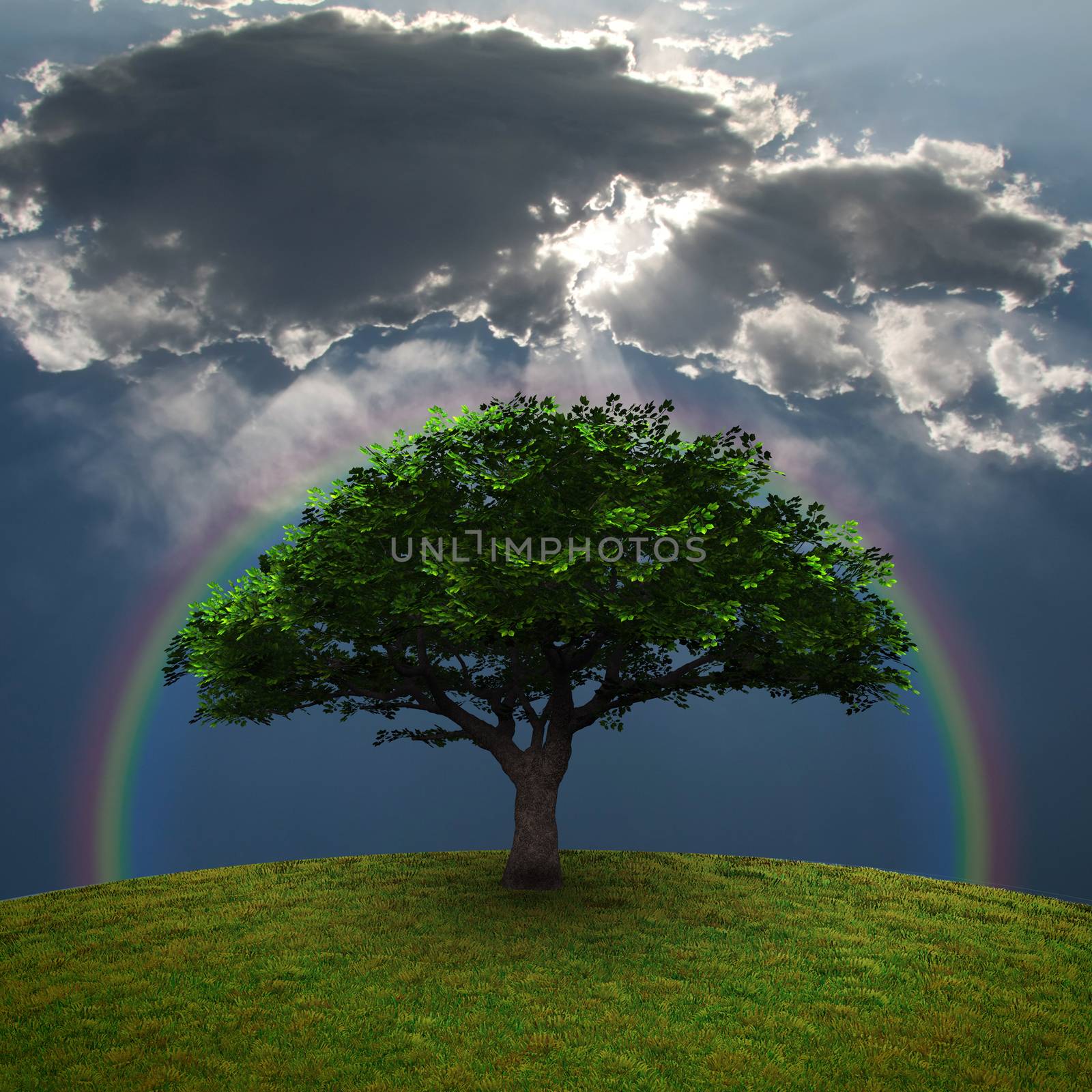 Green Tree. Dramatic clouds and rainbow. 3D rendering