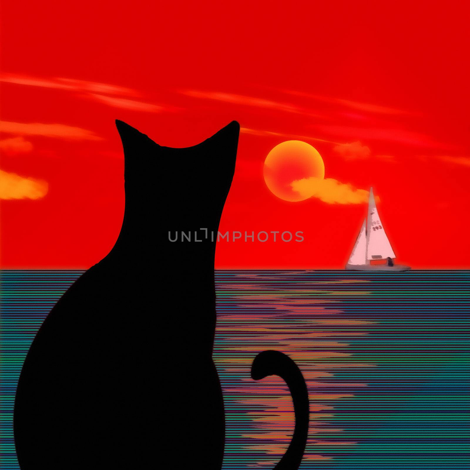 Black cat, sailboat and seascape