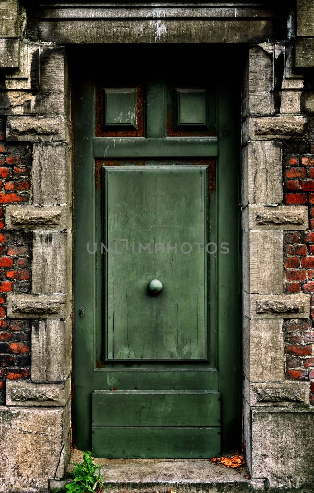 Closeup photo of a unique door entrance