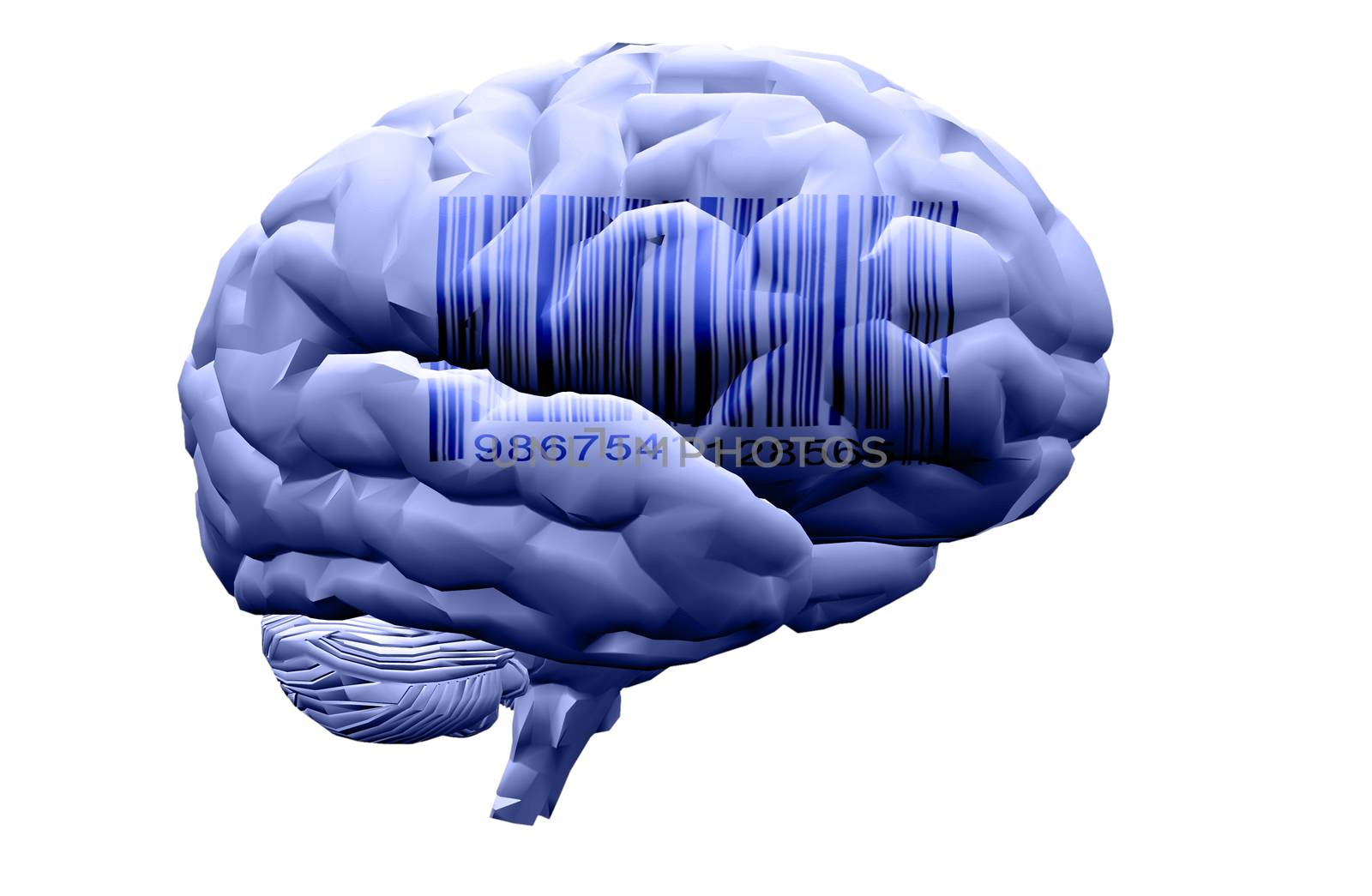 Barcode on human brain. 3D rendering