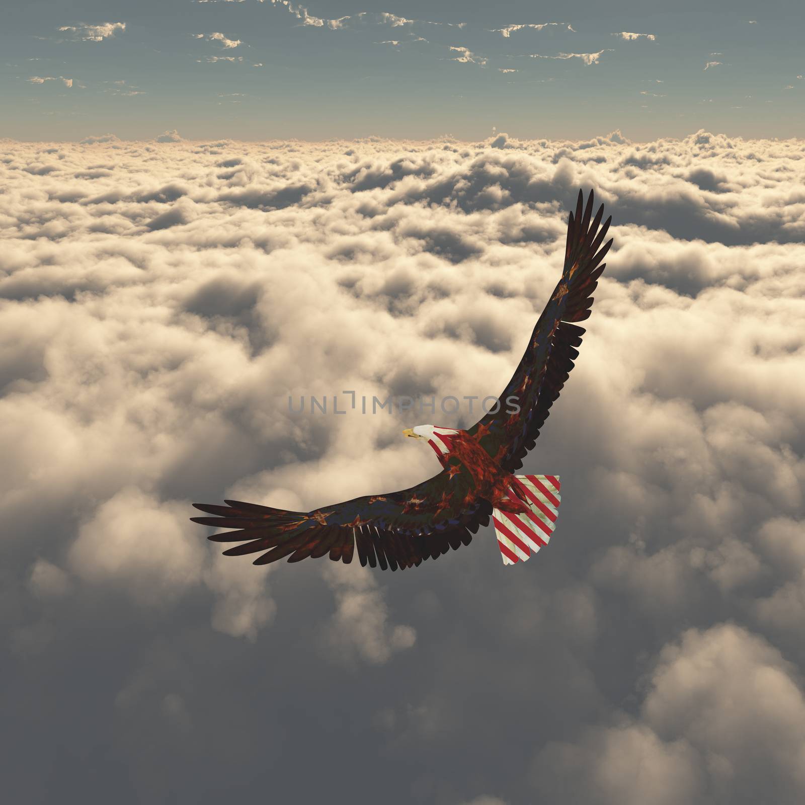 Eagle flies above clouds. Freedom