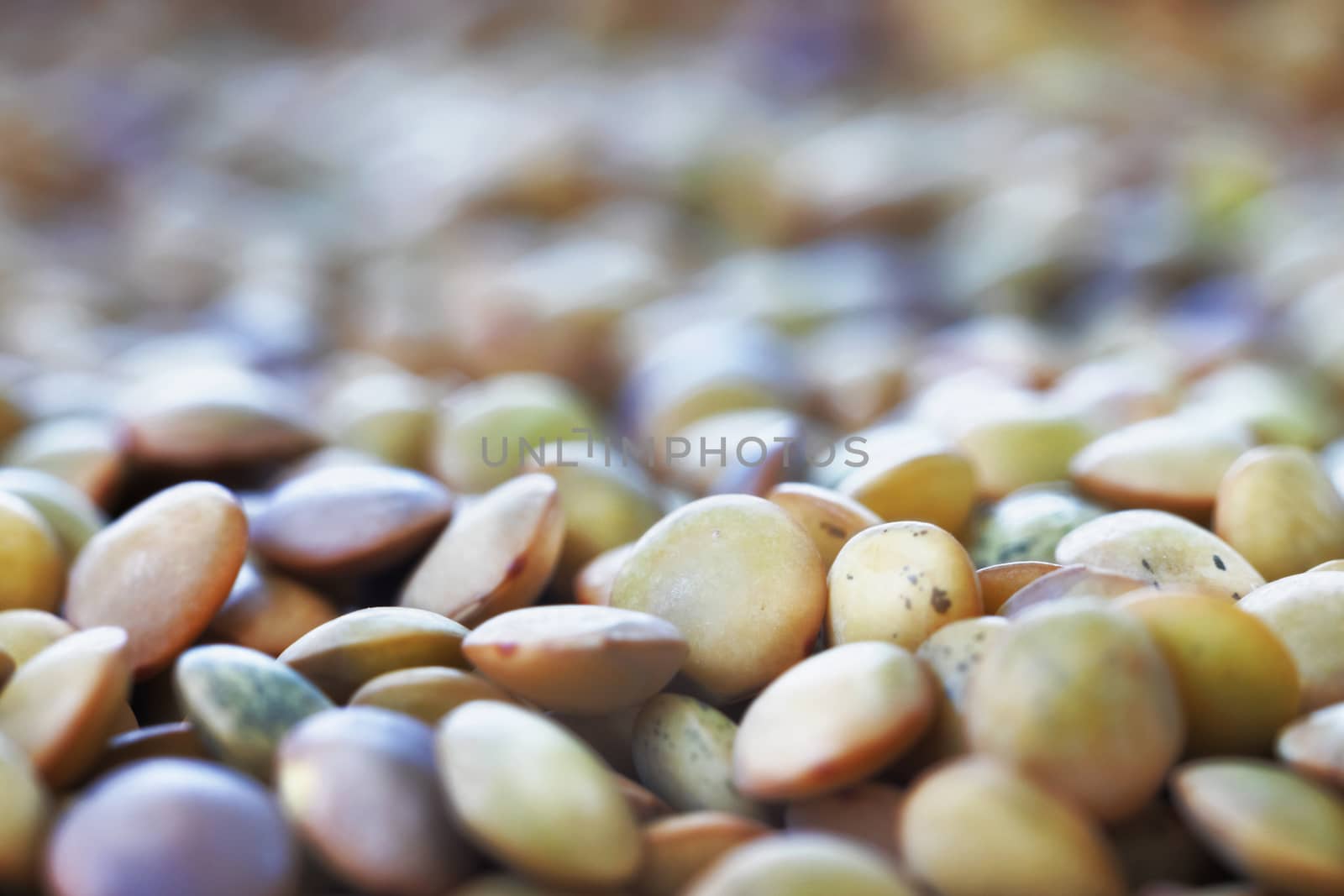 Beautiful heap of brown lentils , macro photography