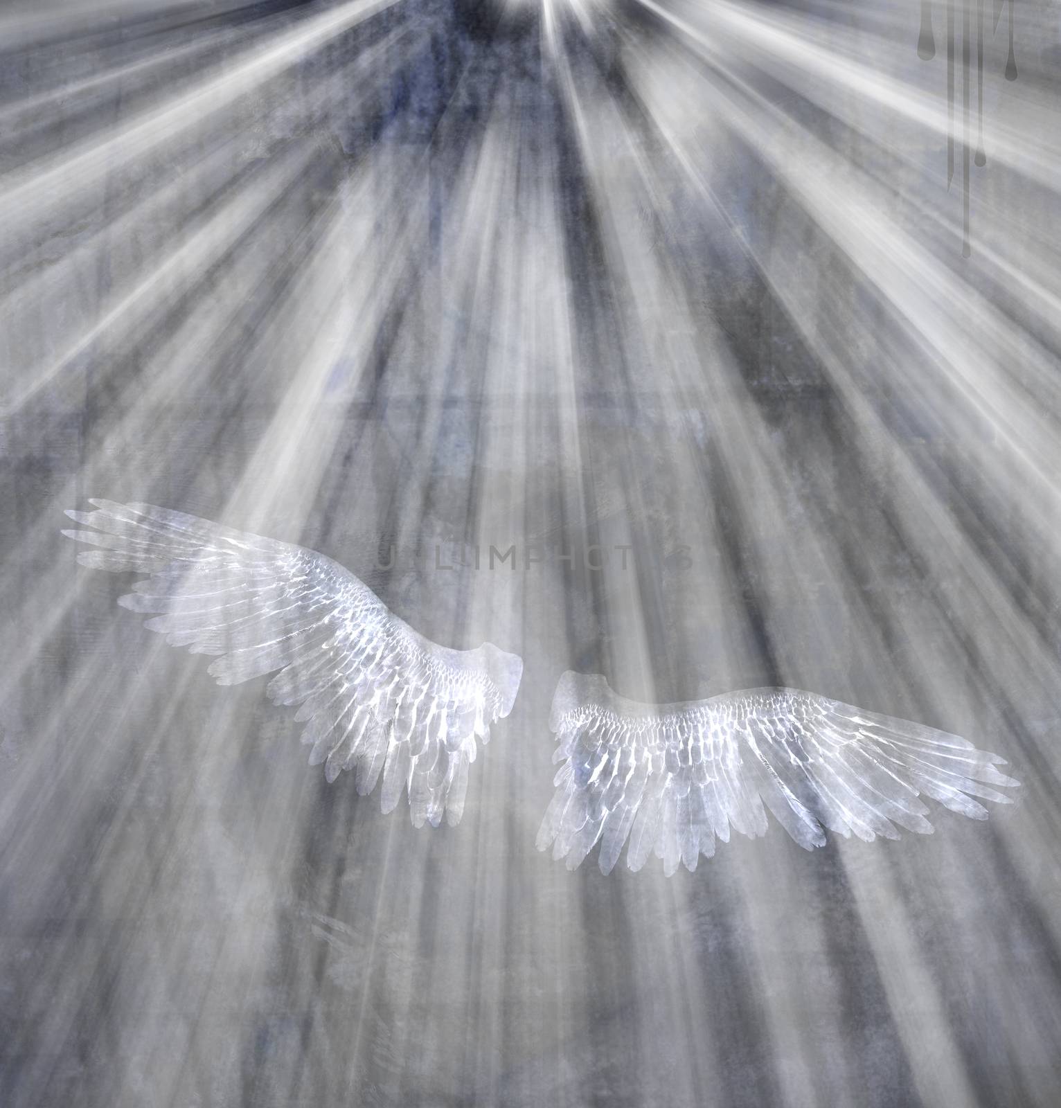 White wings in the light. 3D rendering