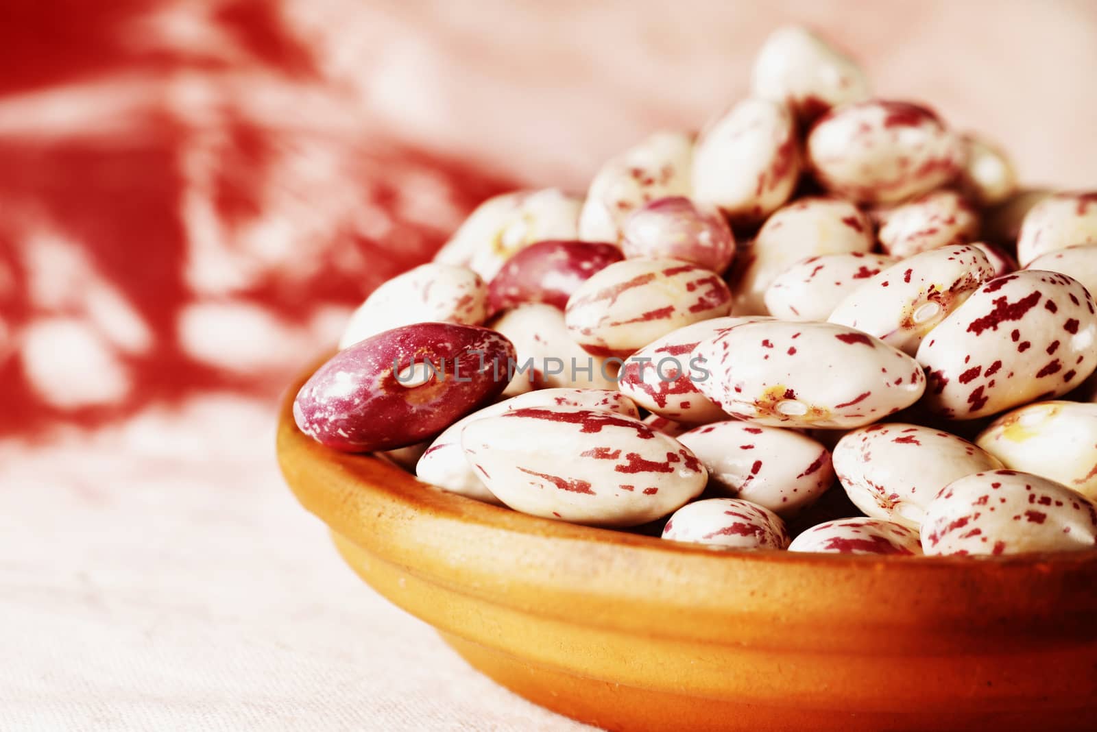 Fresh borlotti beans  in bowl, beans with red specks on creamy white background , common beans or pinto beans