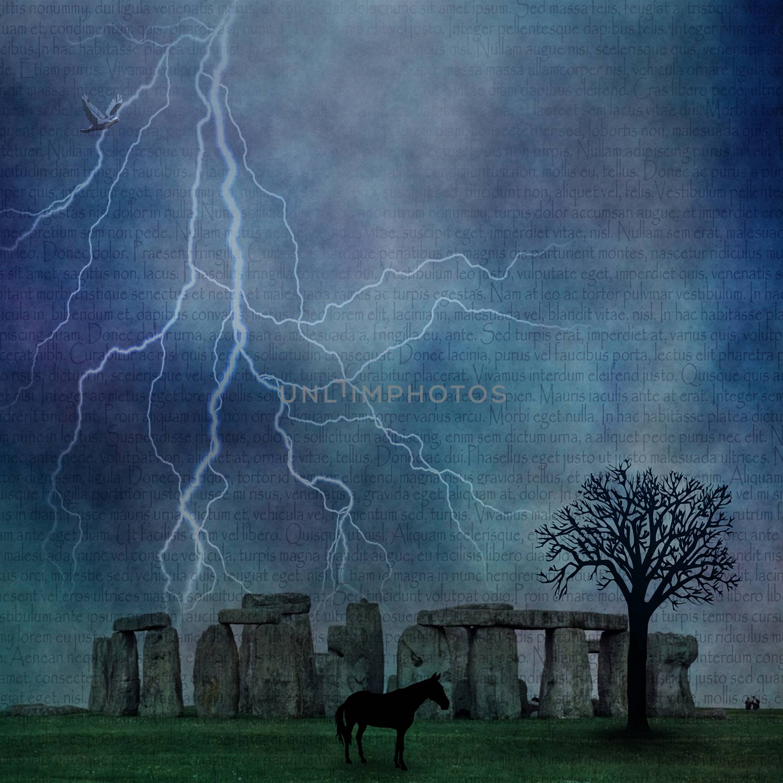 Black horse near The Stonehenge by applesstock