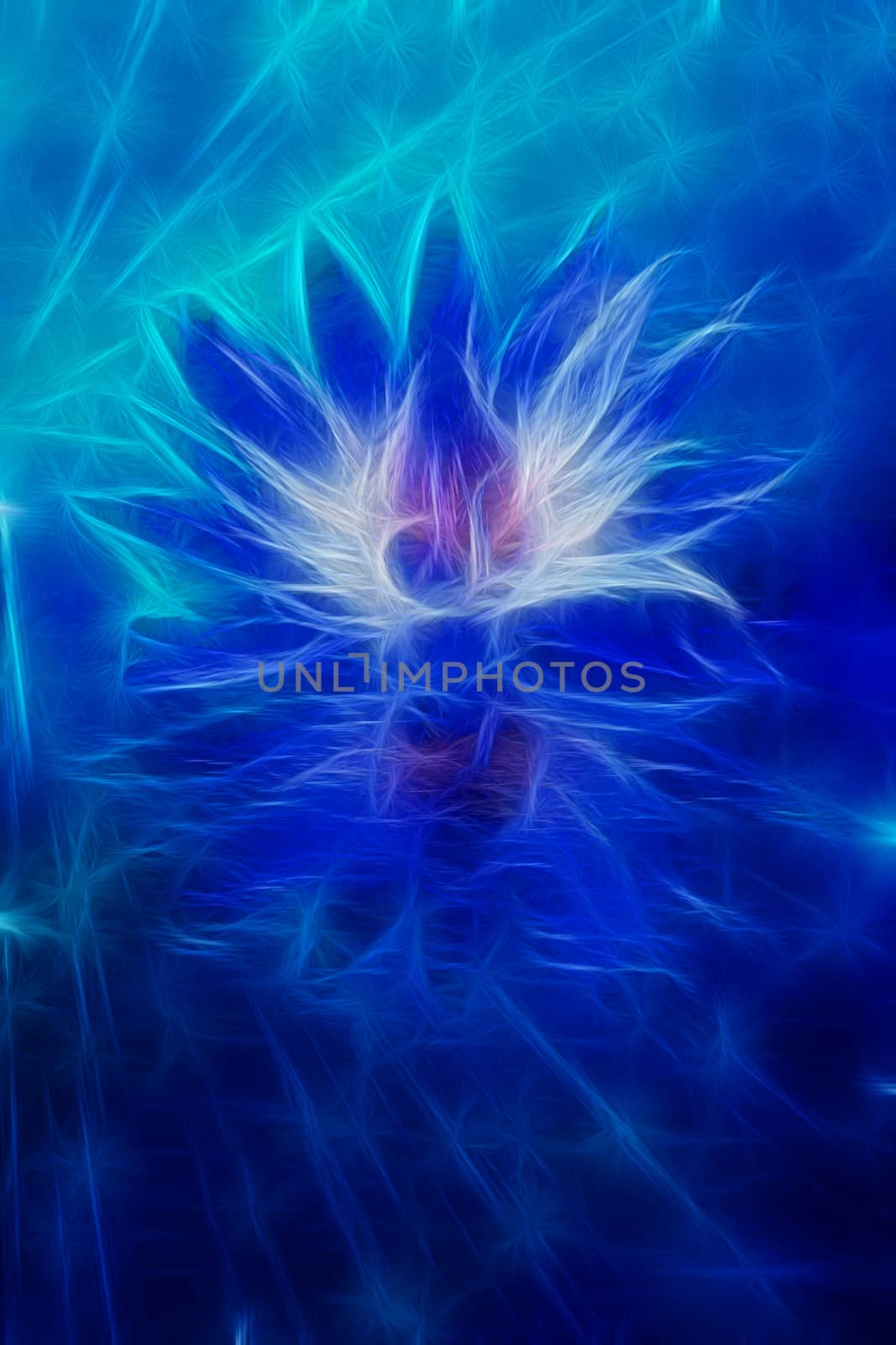 Beautiful Lotus Flower Abstraction. 3D rendering