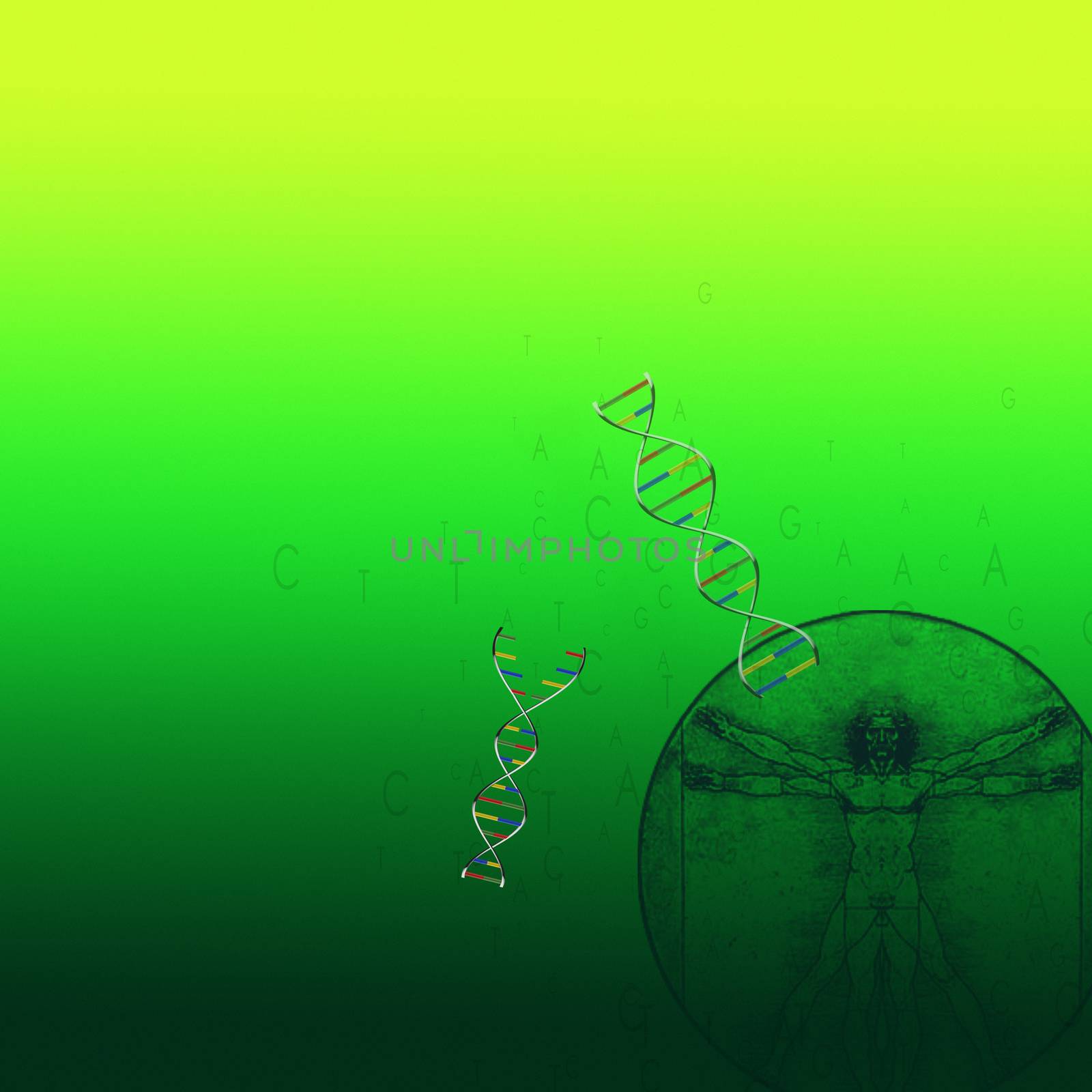 DNA strands by applesstock