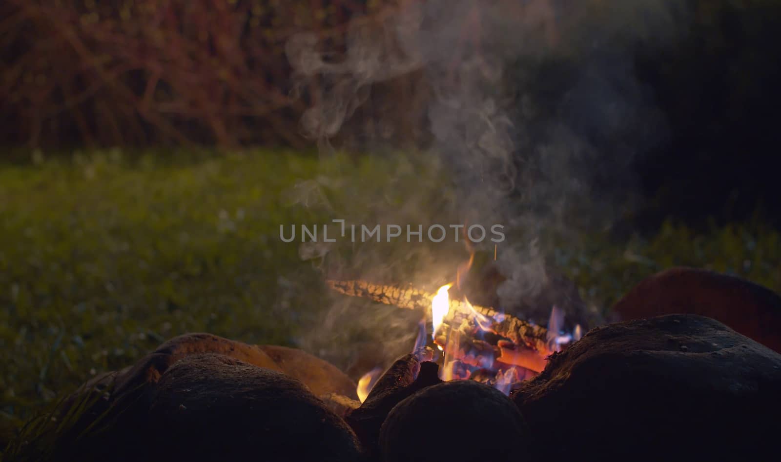 Bonfire in the forest by Alize