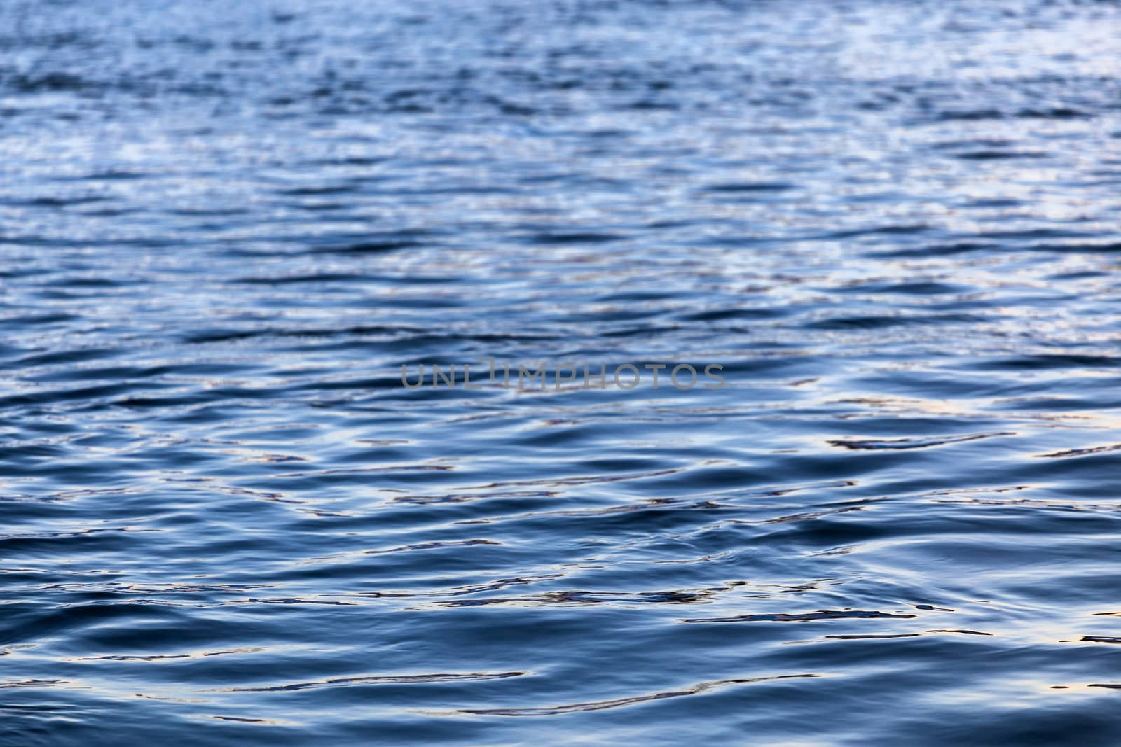 abstract water surface closeup with small plain ripples and selective focus.