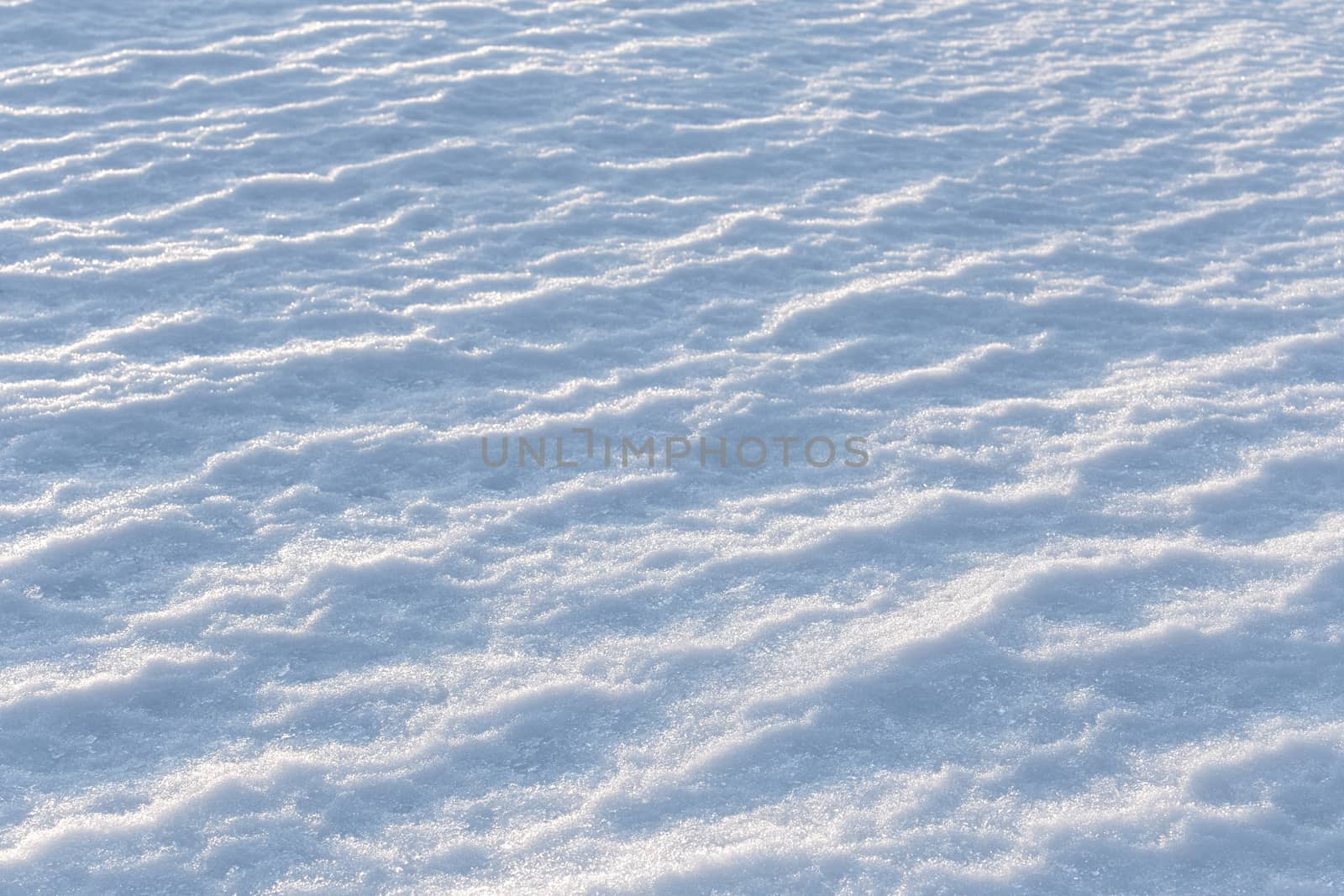 closeup snow field background with selective focus under direct evenong sunlight.