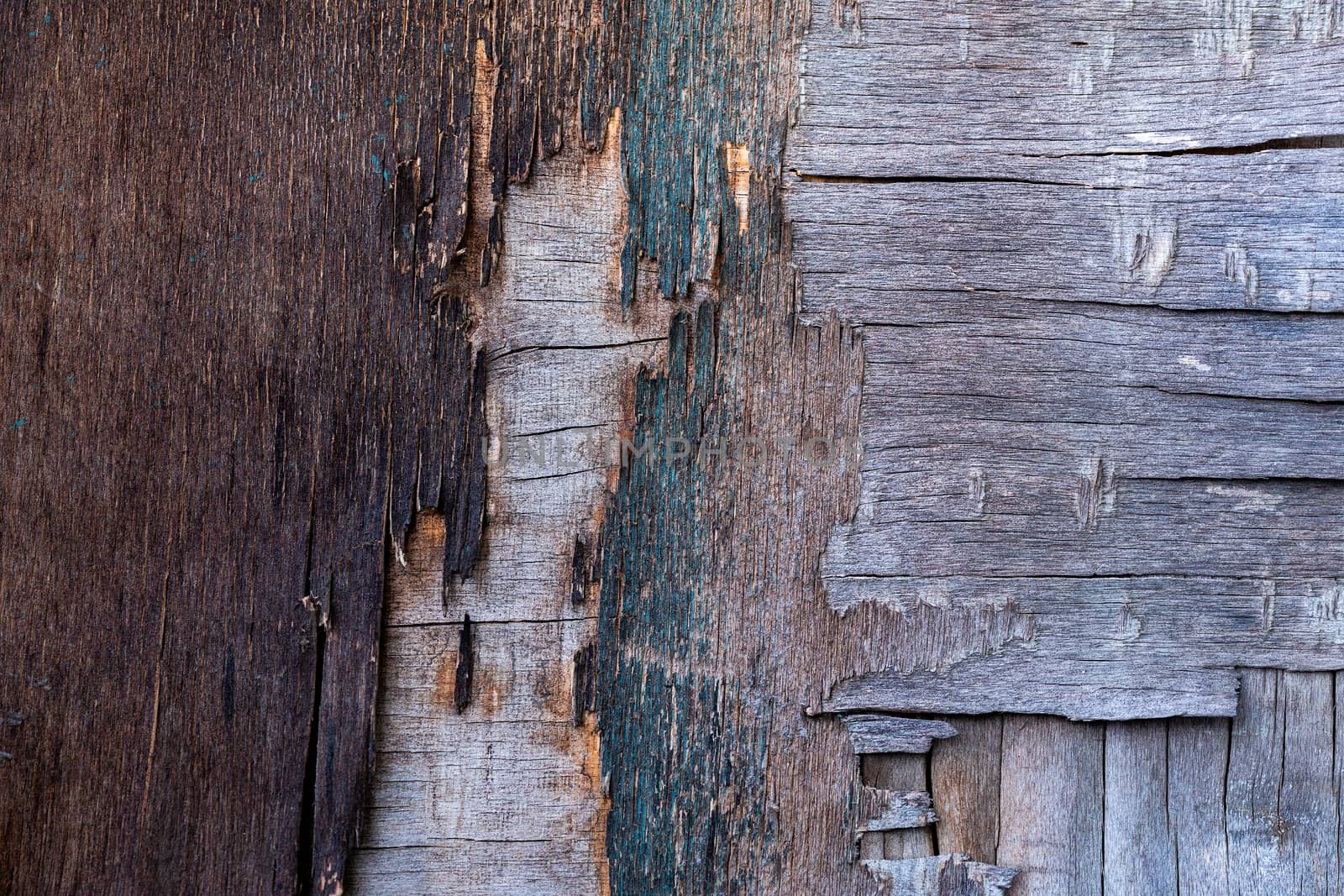 old destroyed plywood sheet closeup surface texture.