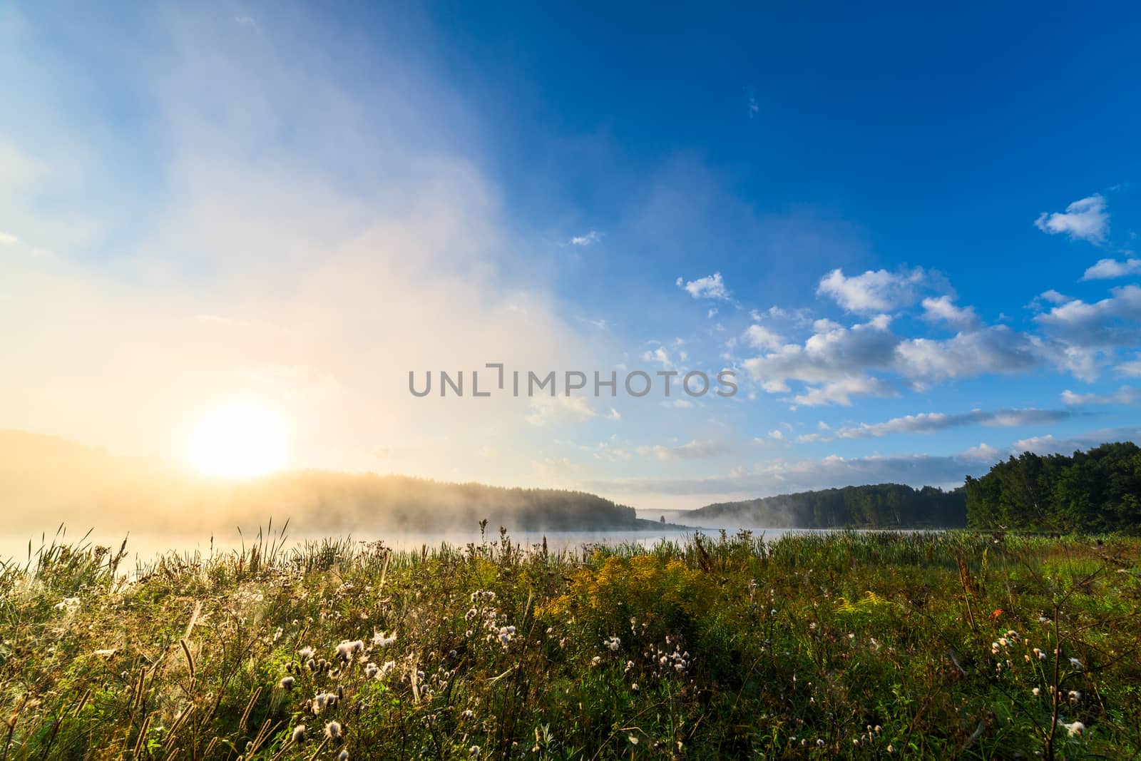 foggy riverside at summer sunrise with wet grass in foreground