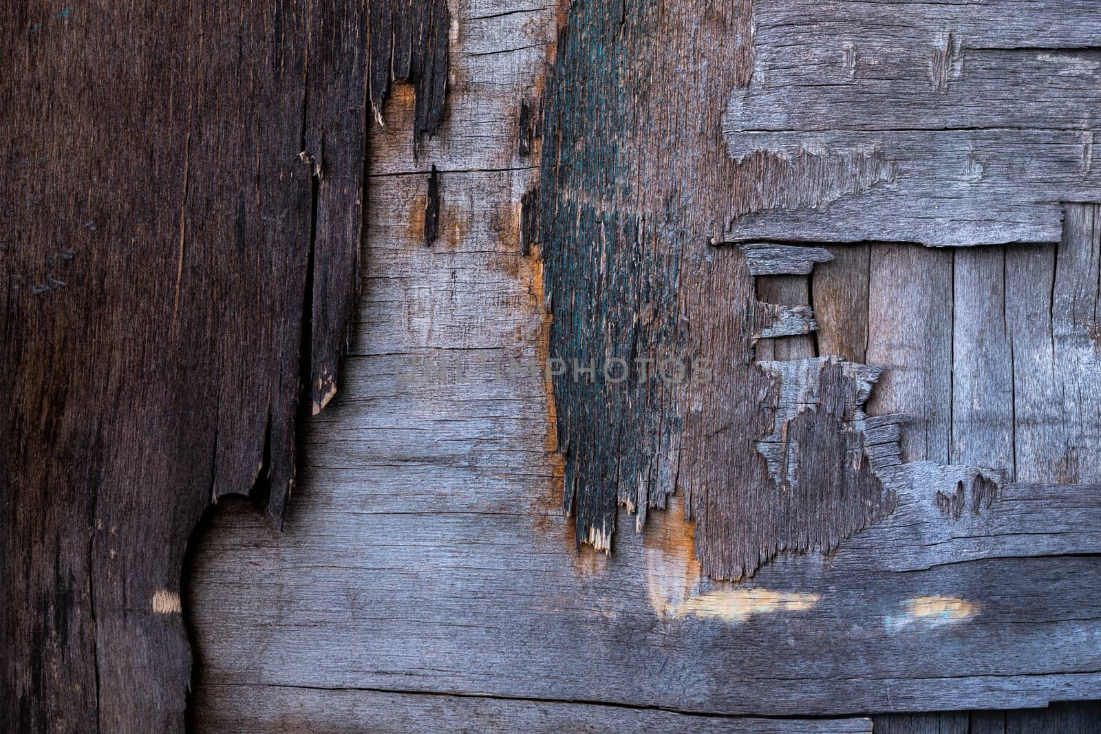 old destroyed plywood sheet closeup surface texture.