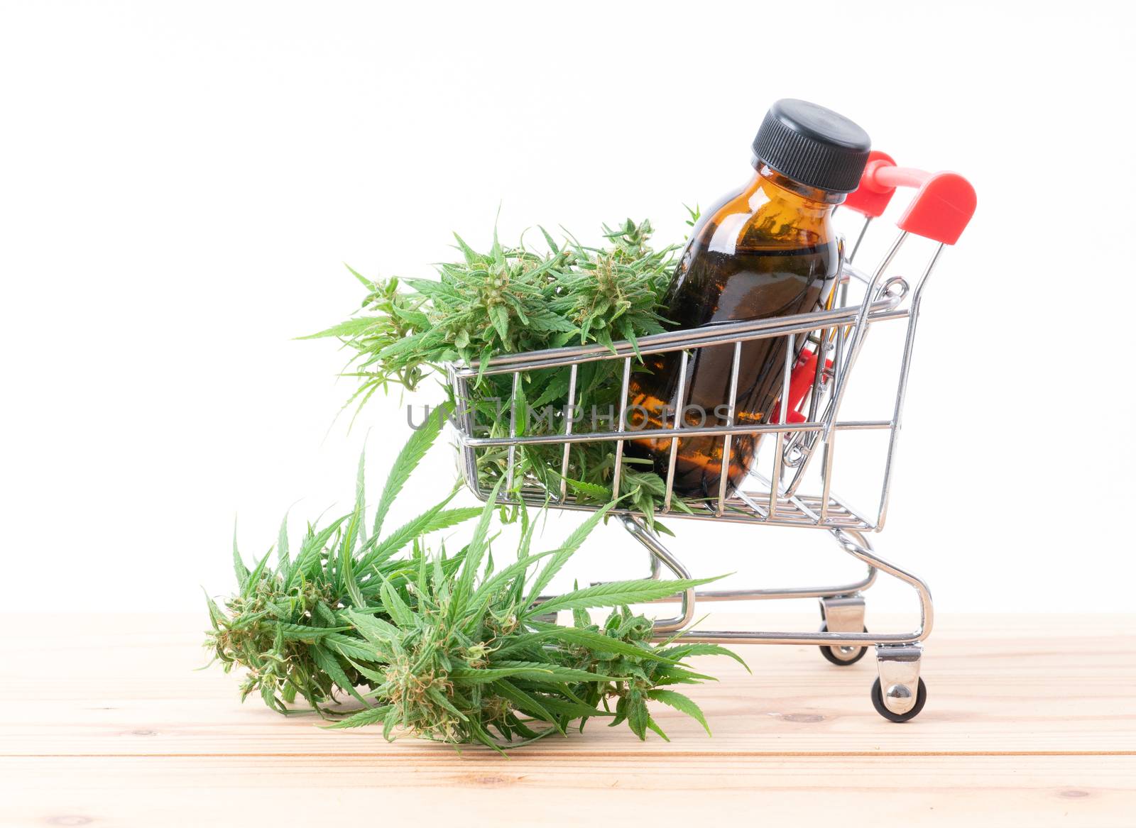 cannabis with cannabidiol (cbd) extract on white background