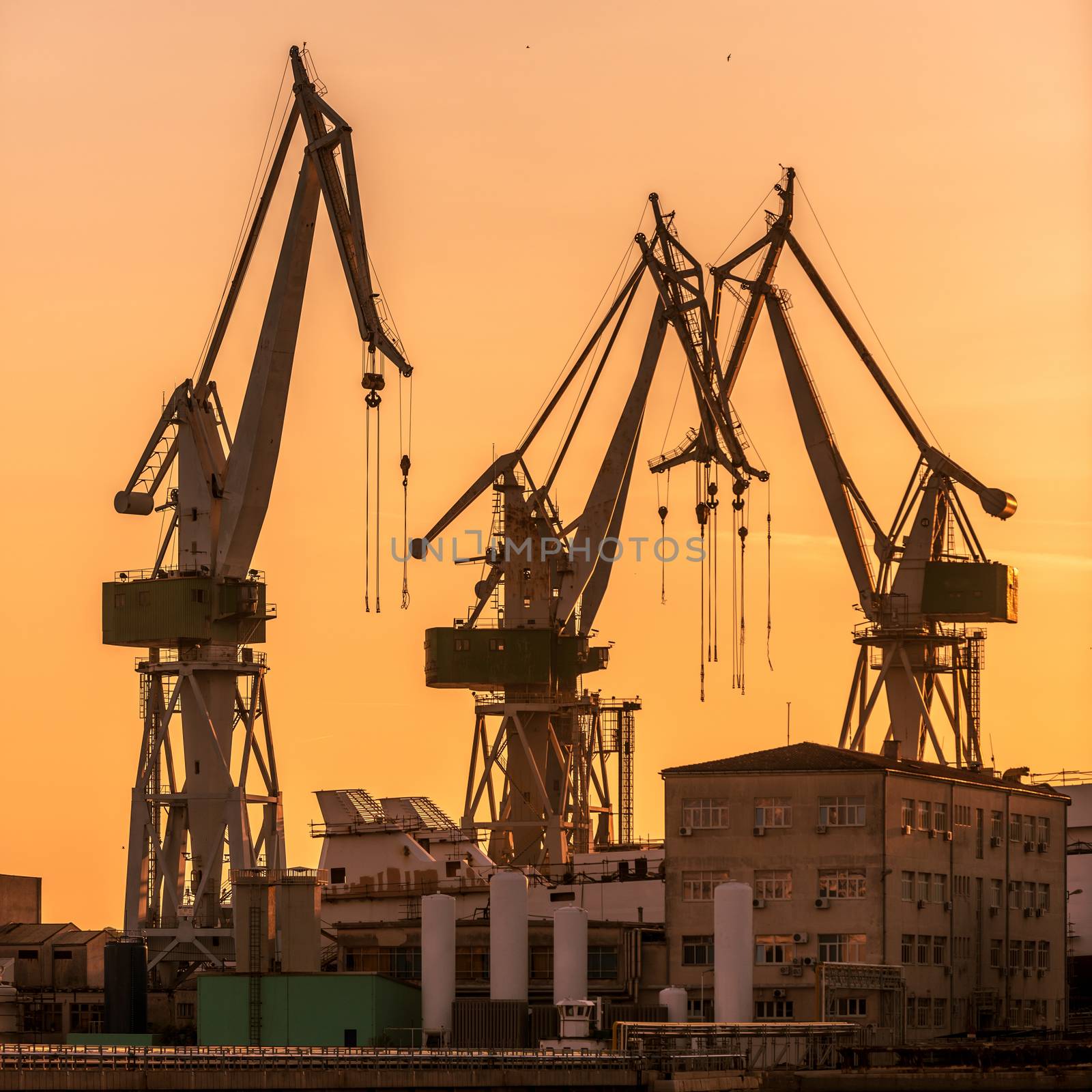 Industrial cargo cranes in the dock by svedoliver
