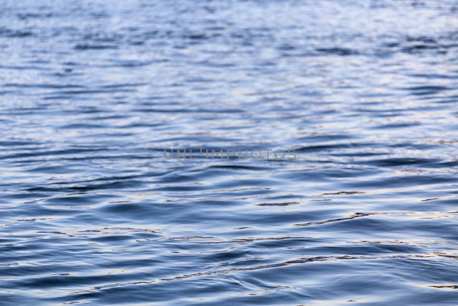 abstract water surface closeup with small plain ripples and selective focus.