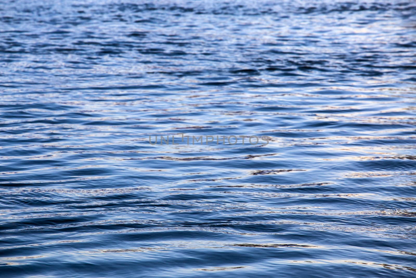 abstract water surface closeup with small plain ripples and selective focus.