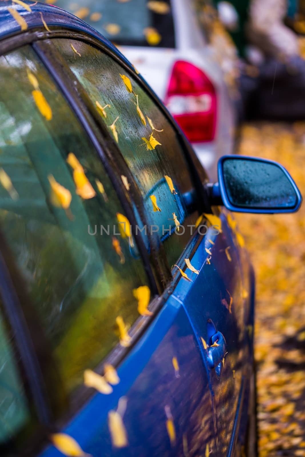 wet blue car side at cloudy daylight with autumn leaves and selective focus