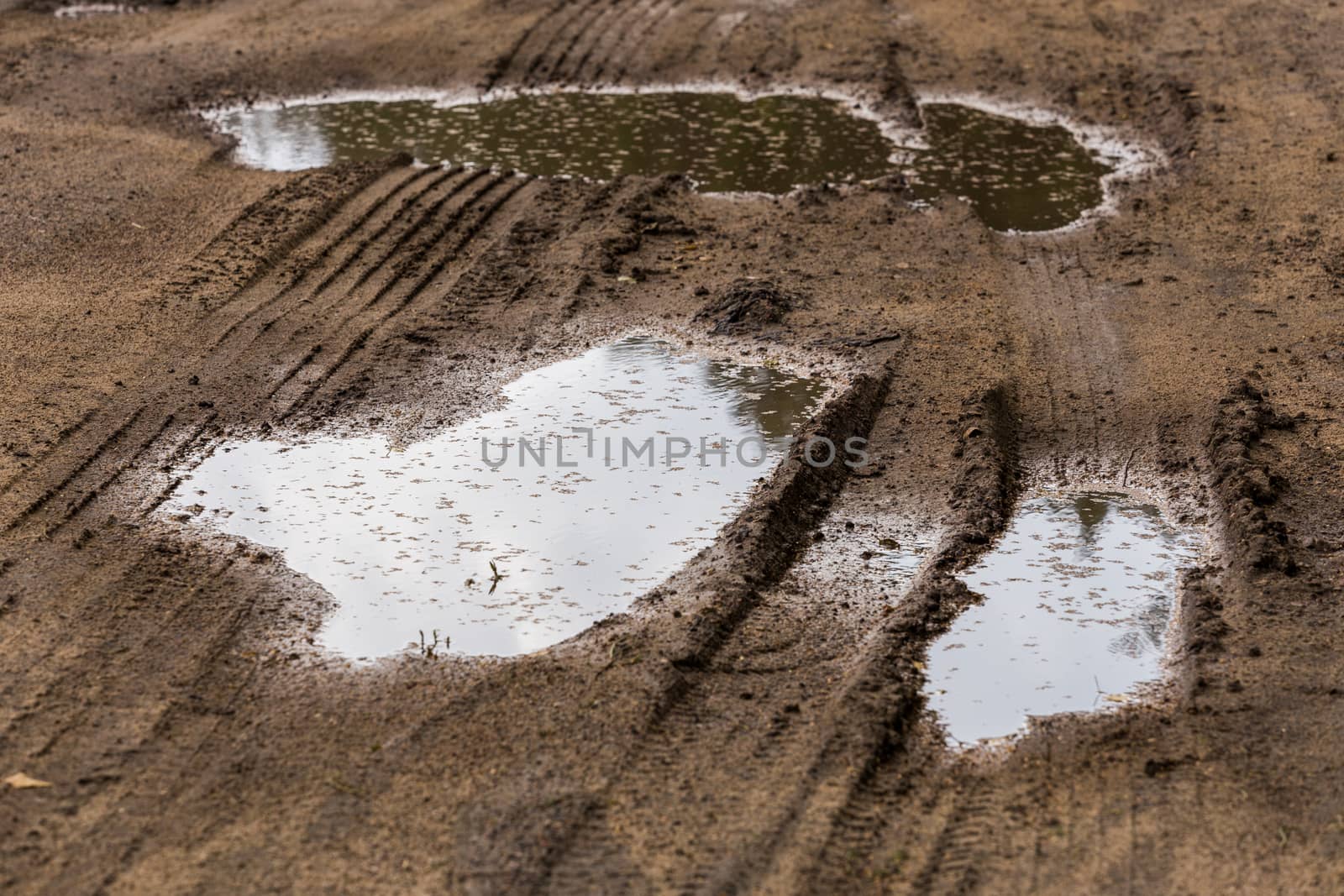 puddles in roadside dirt telephoto closeup shot with selective focus and blur.