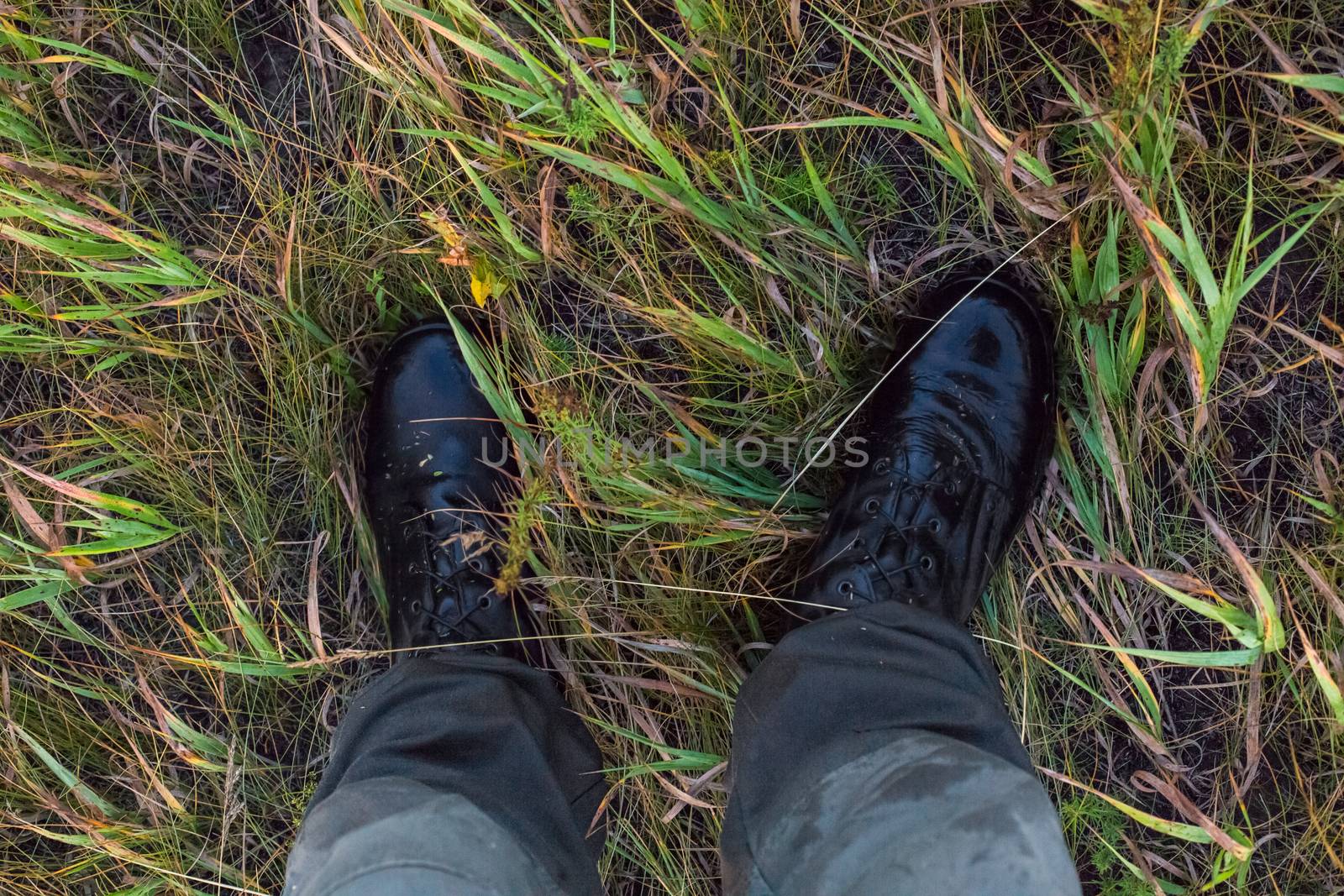 Feet in wet black army boots and green cotton pants in autumn grass gonzo downward point of view. by z1b