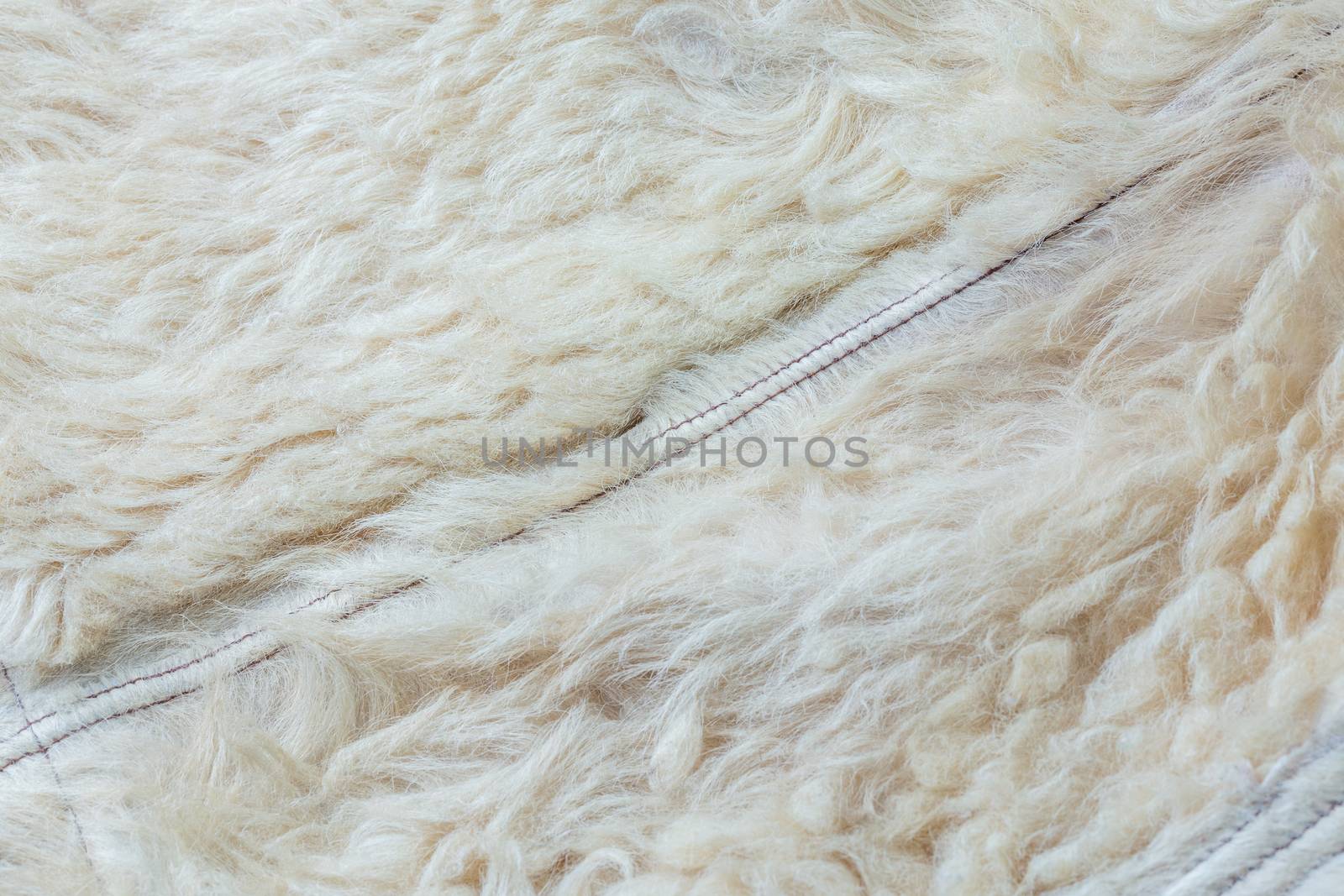 Old white sheep fur lining closeup background with selective focus and blur.