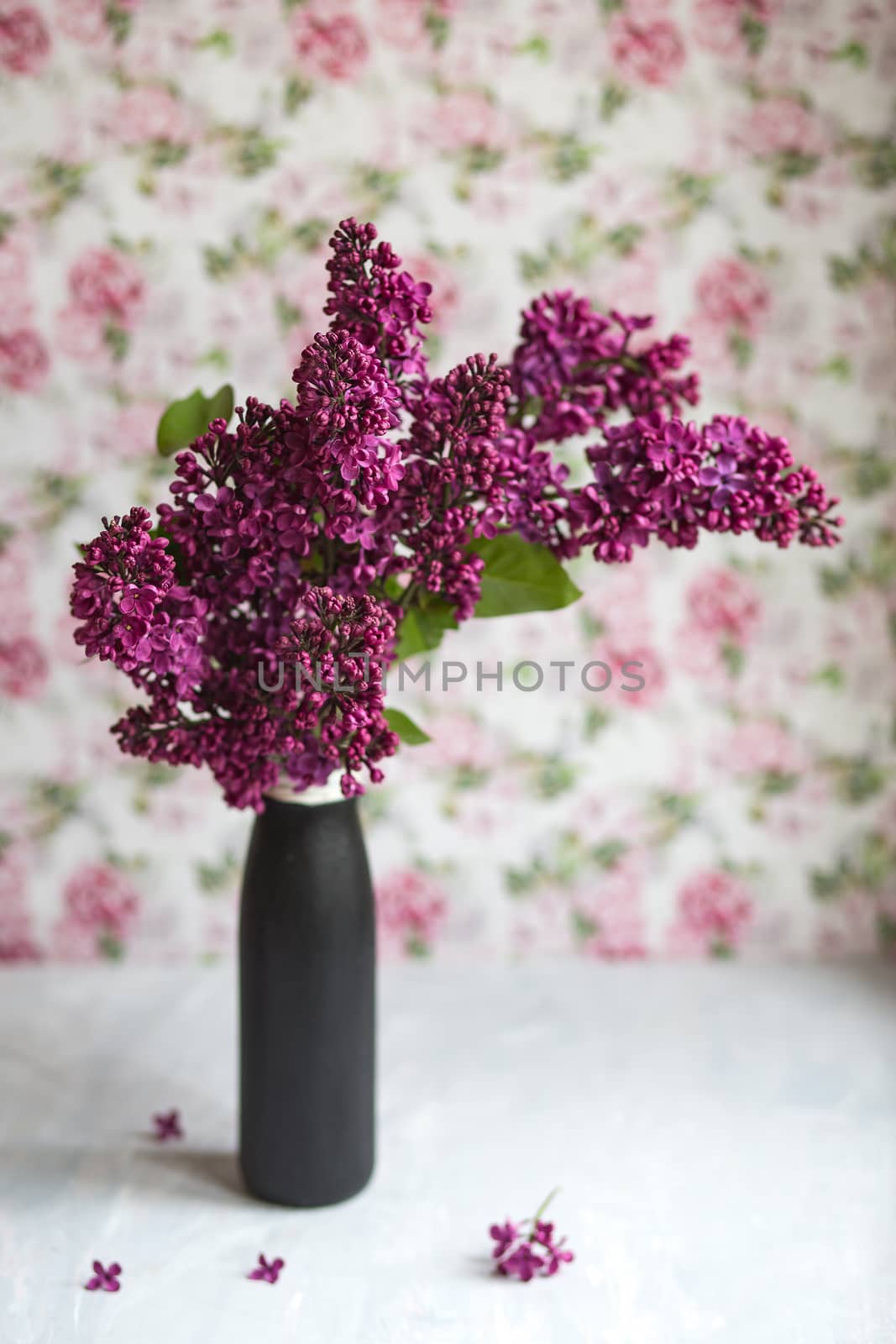 Bouquet of violet lilac in a black vase. Still life with blooming branches of lilac in vases. Greeting card mock up.