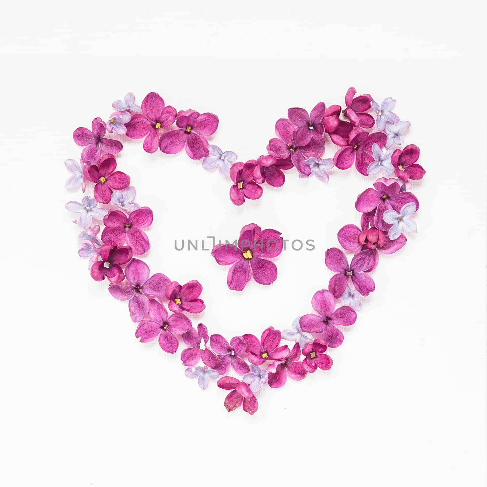 Heart made of lilac petals. Greeting card with heart and five-pointed lilac flower. Copy space, mock up