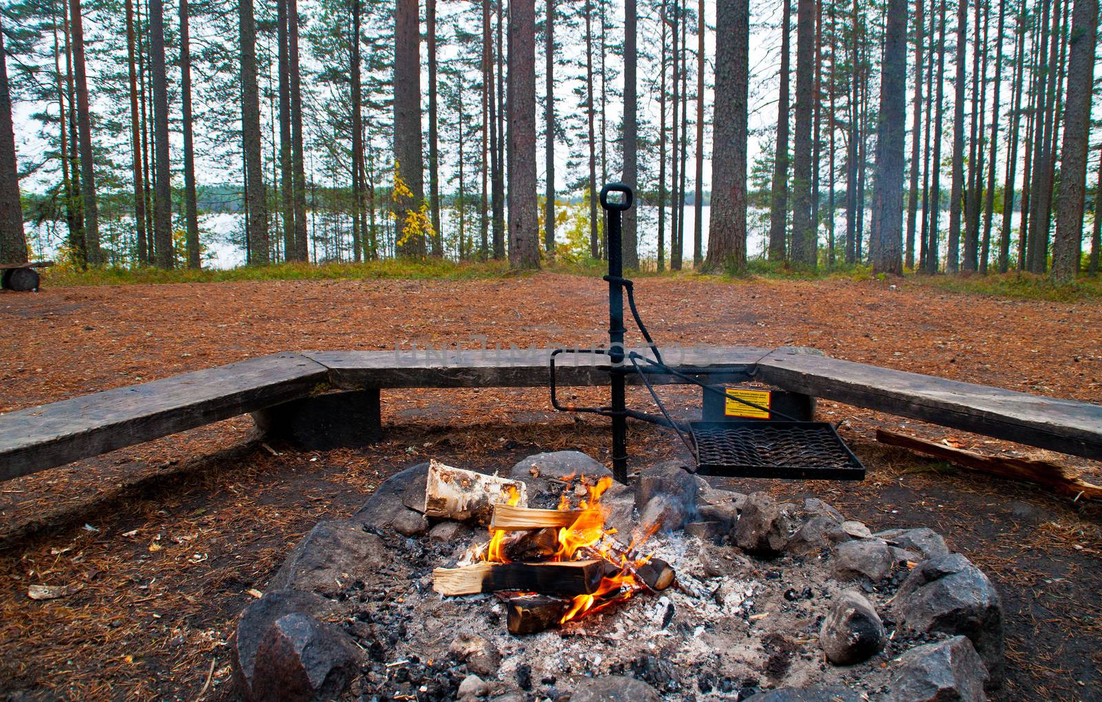 Camp fire in the woods of North-Karelia, Finland