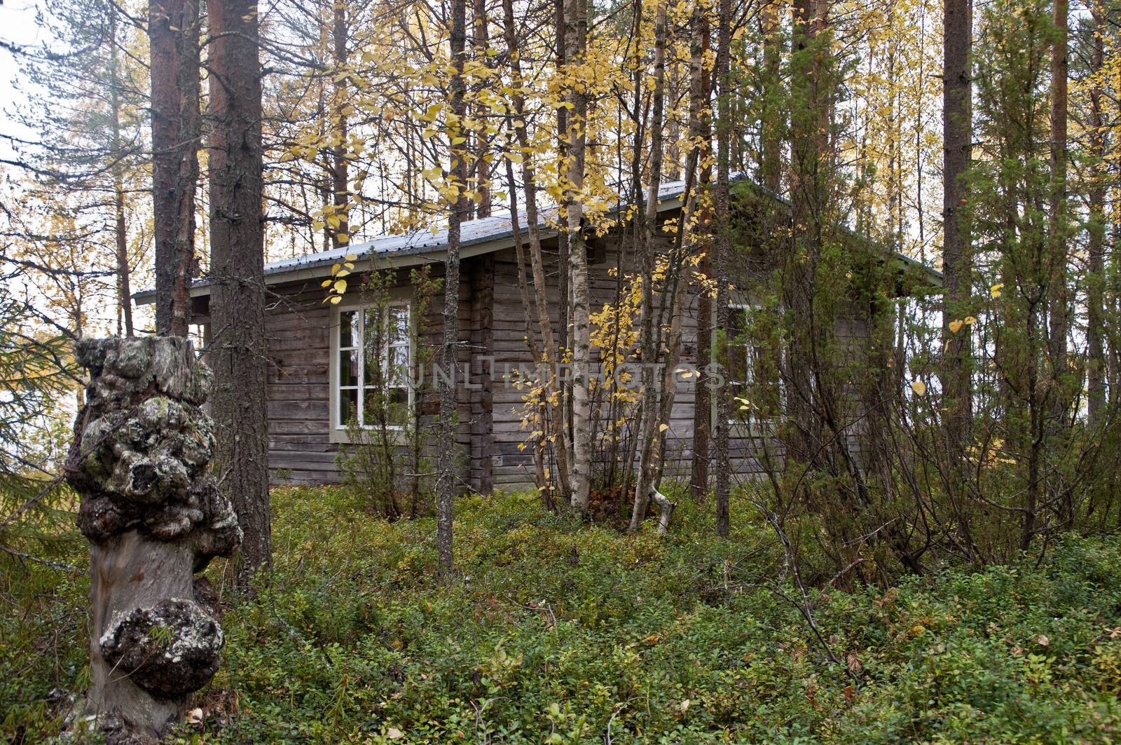 A cabin at a lake in the region of Kainuu, Finland