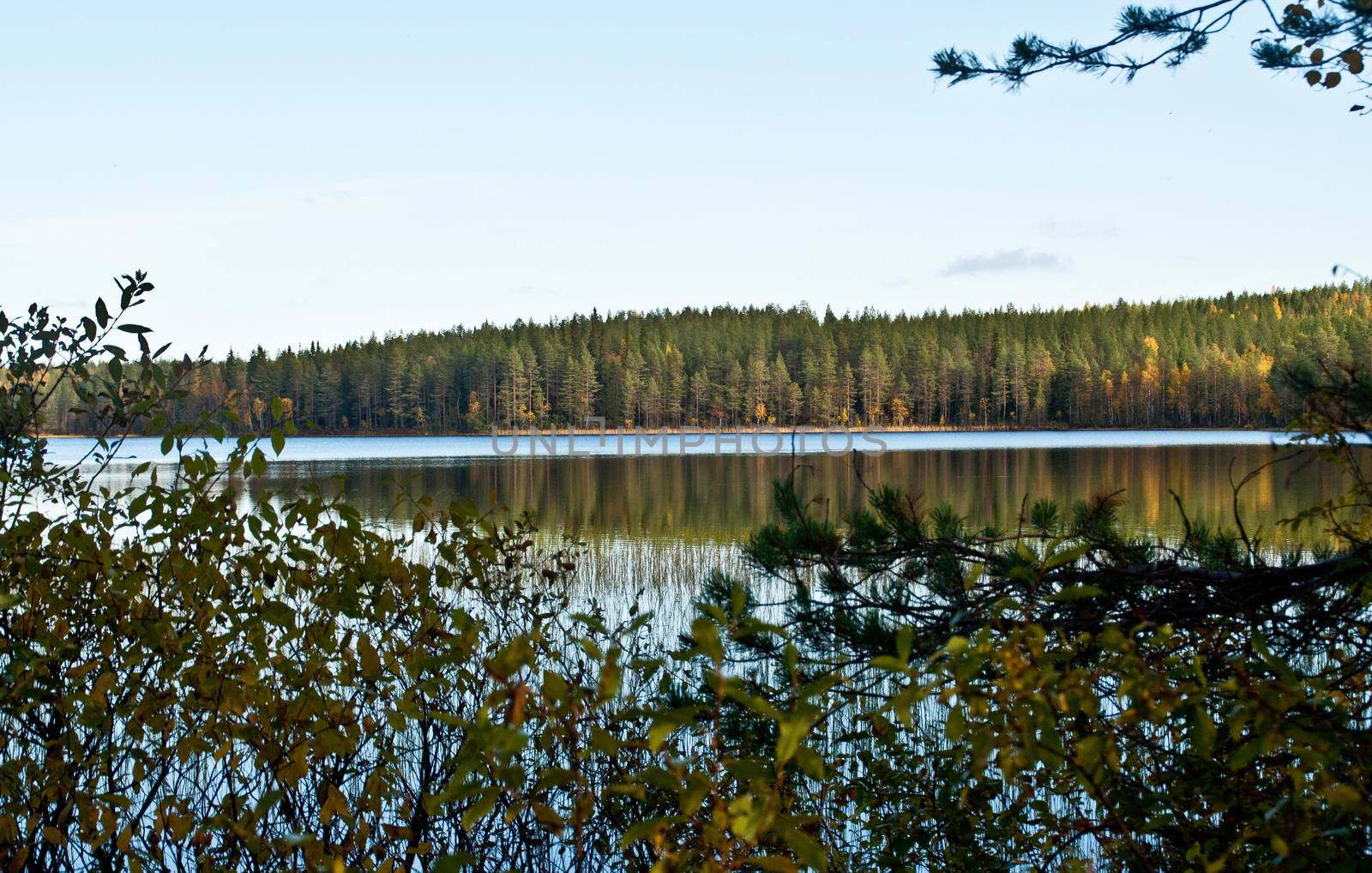 Lake in the region of Kainuu, Finland