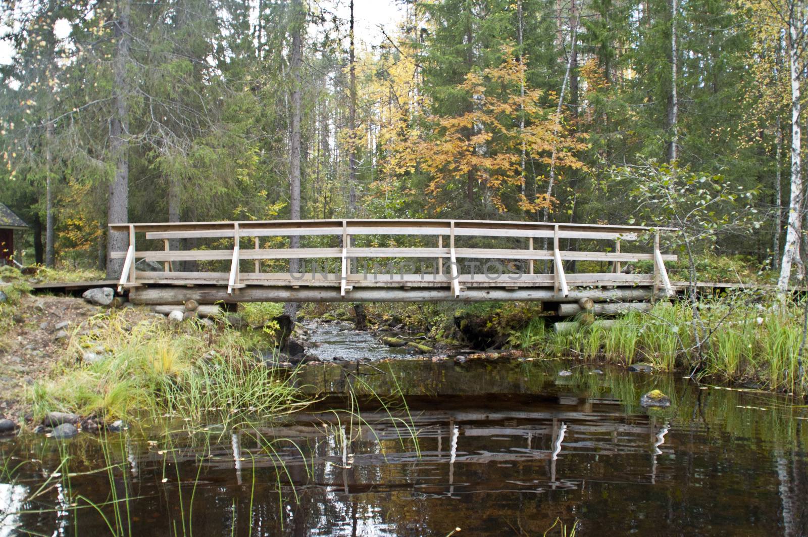 Nature in a national park in Finland