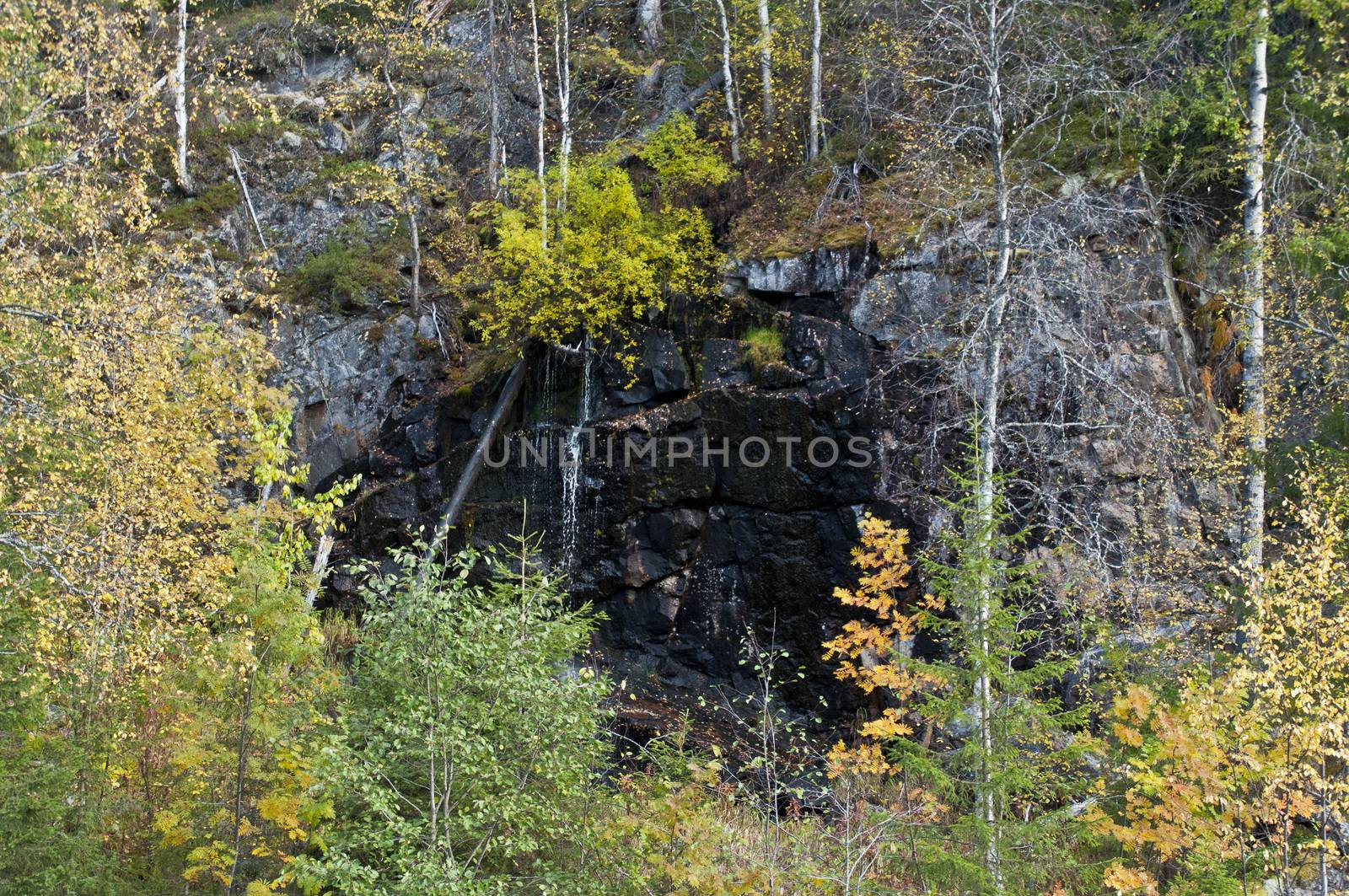 Small water fall in a national park in East-Finland