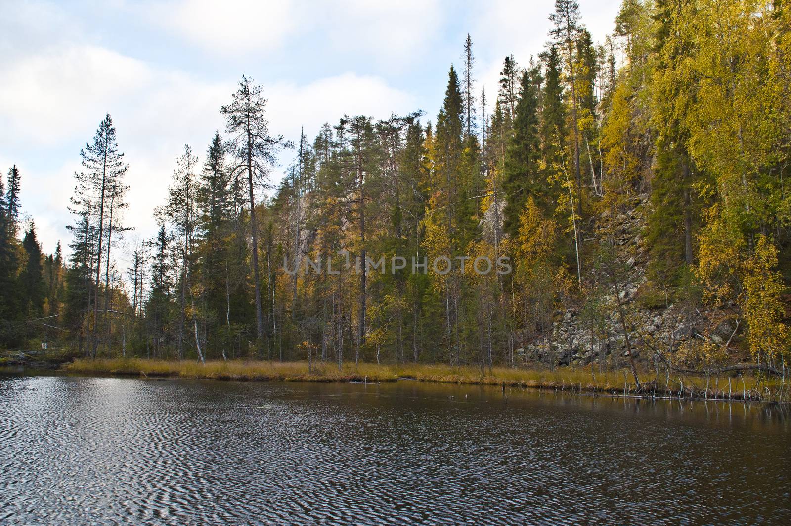 River in a small canyon in a national park in East-Finland